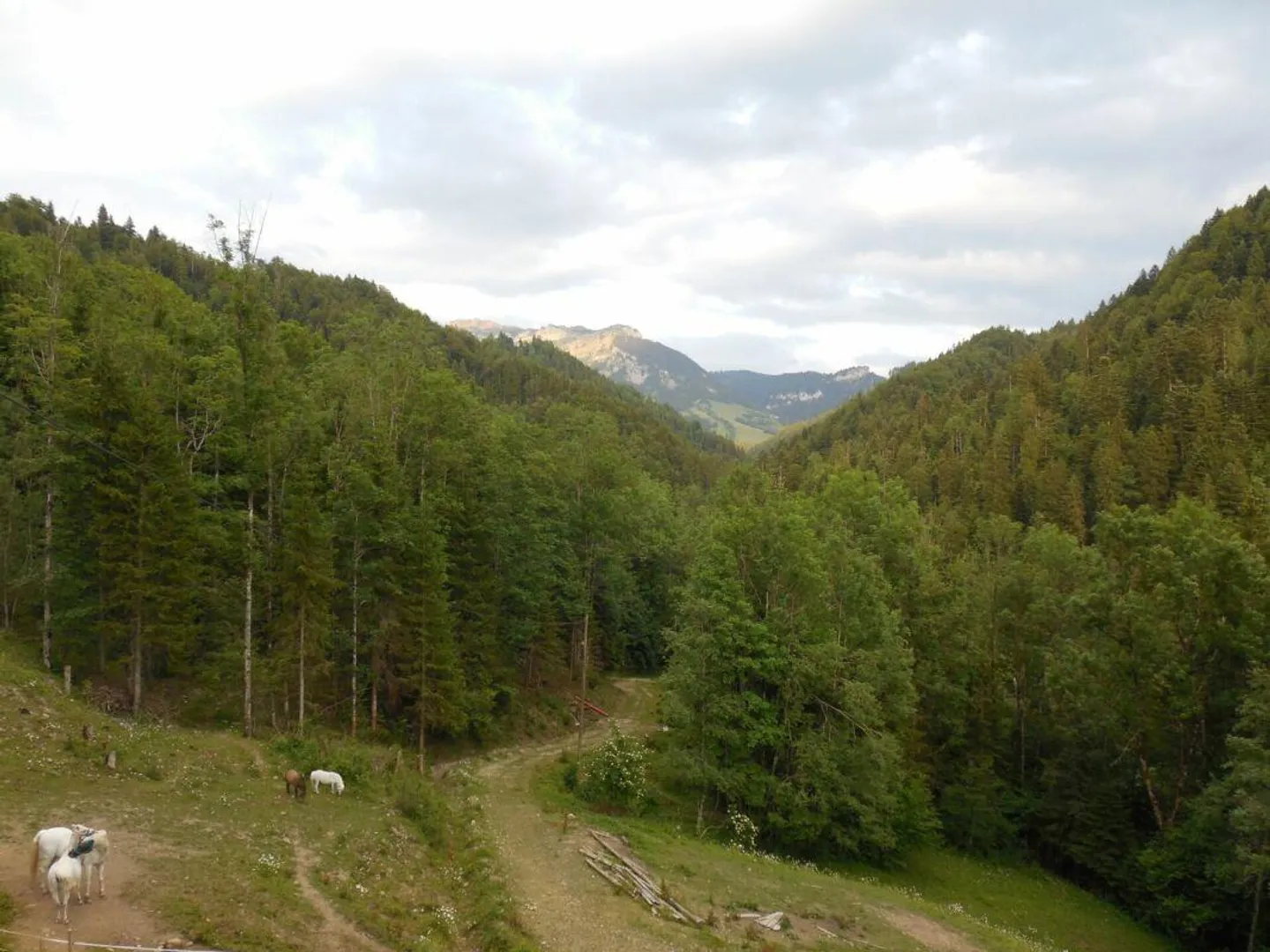Ex fattoria per cavalli nel cuore del patrimonio mondiale dell'UNESCO Entlebuch - Foto 3 di 12