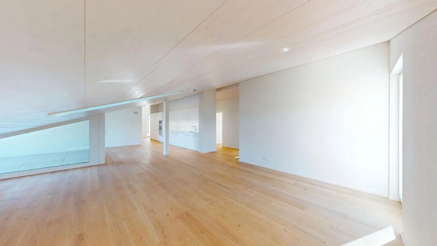 UNIQUE PENTHOUSE | SPACIOUS | CHARMING | CREATIVE - Photo 3 of 13