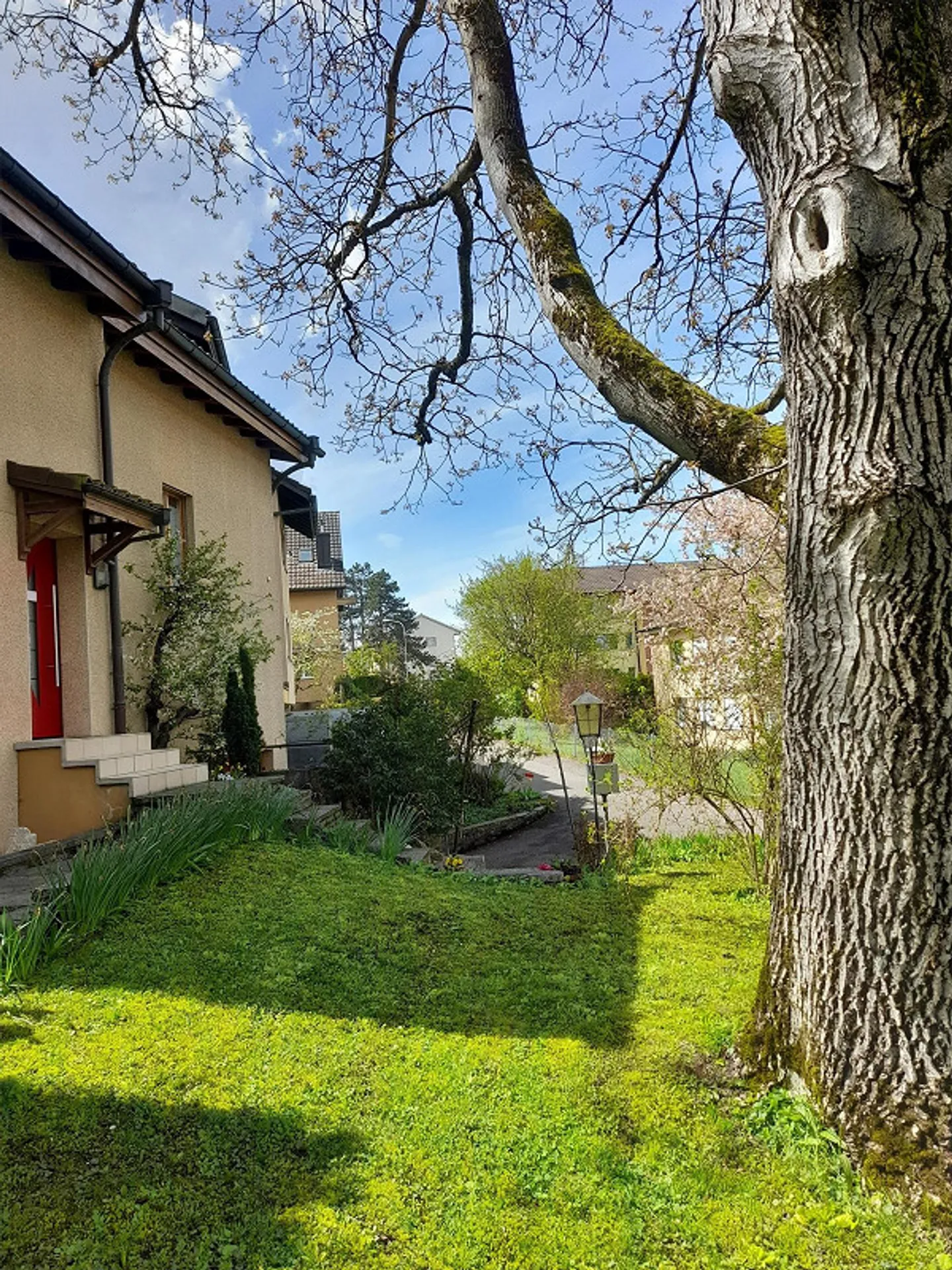 Saniertes 6.5-Zimmer EFH an sonniger und ruhiger Lage - Foto 20 von 20