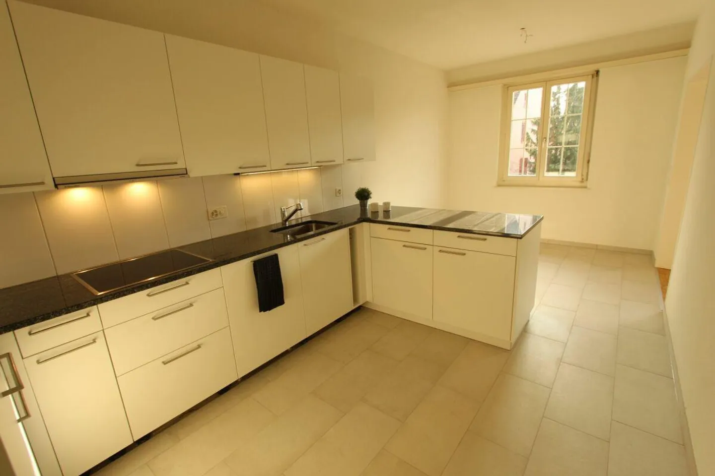 Frick / 3.5 Zimmer Wohnung 1. OG links - Foto 3 von 11