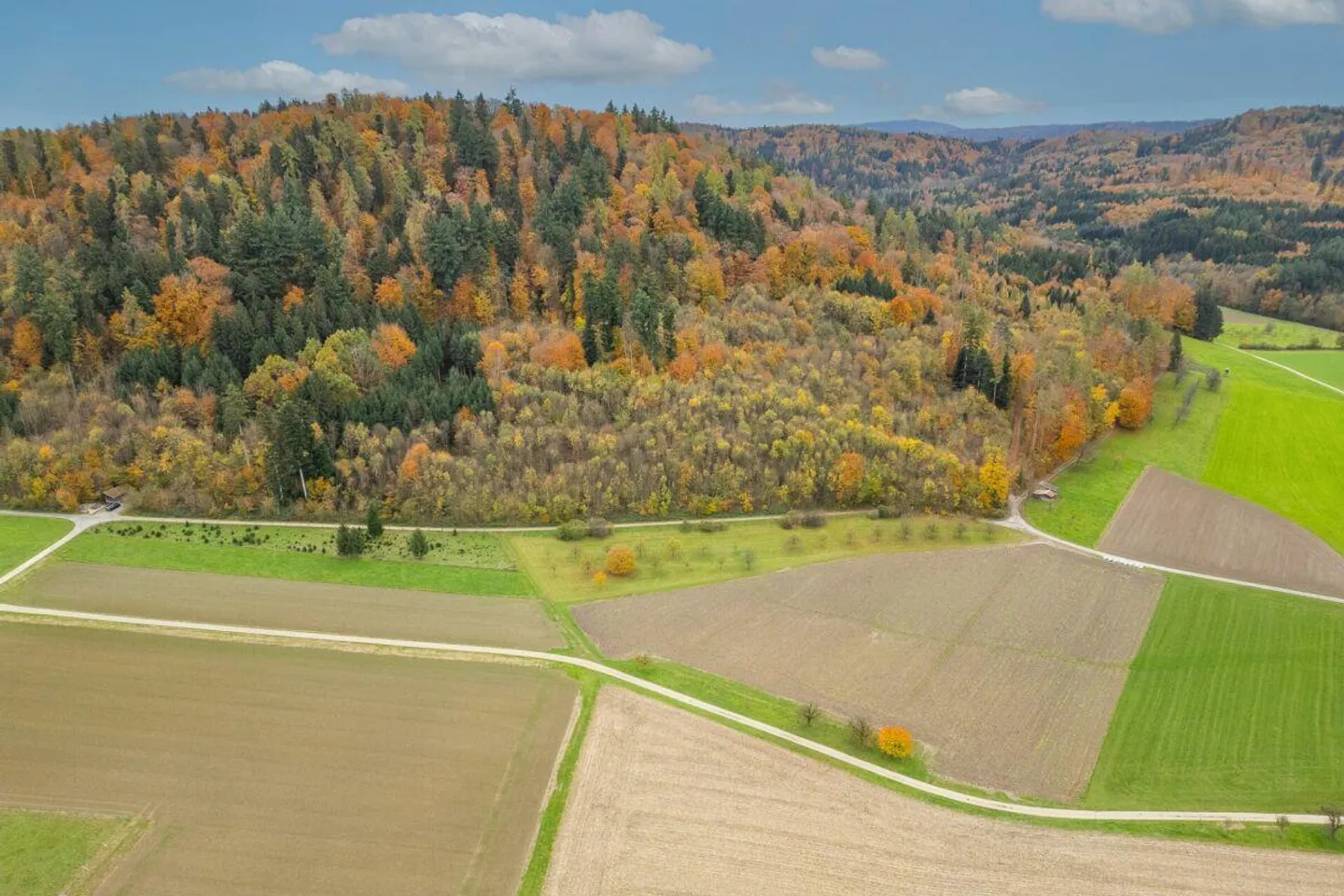 Résidence familiale avec grand jardin et potentiel d'extension - Photo 13 sur 13