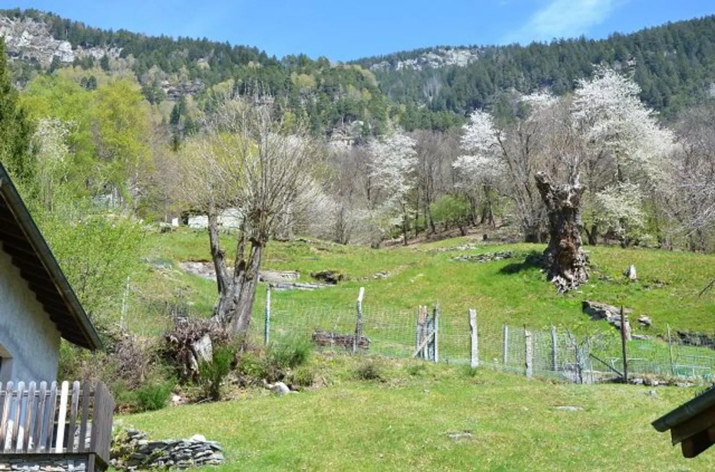 Rustico 3 1/2 locali in posizione molto tranquilla e soleggiata con vista / Bell... - Foto 21 di 39