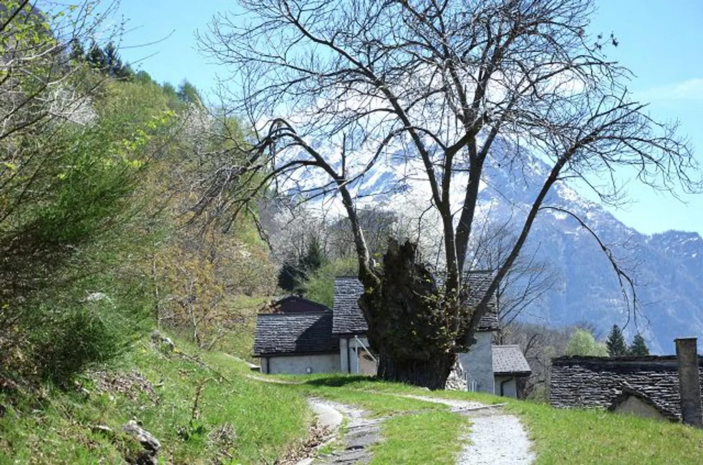 Rustico 3 1/2 locali in posizione molto tranquilla e soleggiata con vista / Bell... - Foto 34 di 39