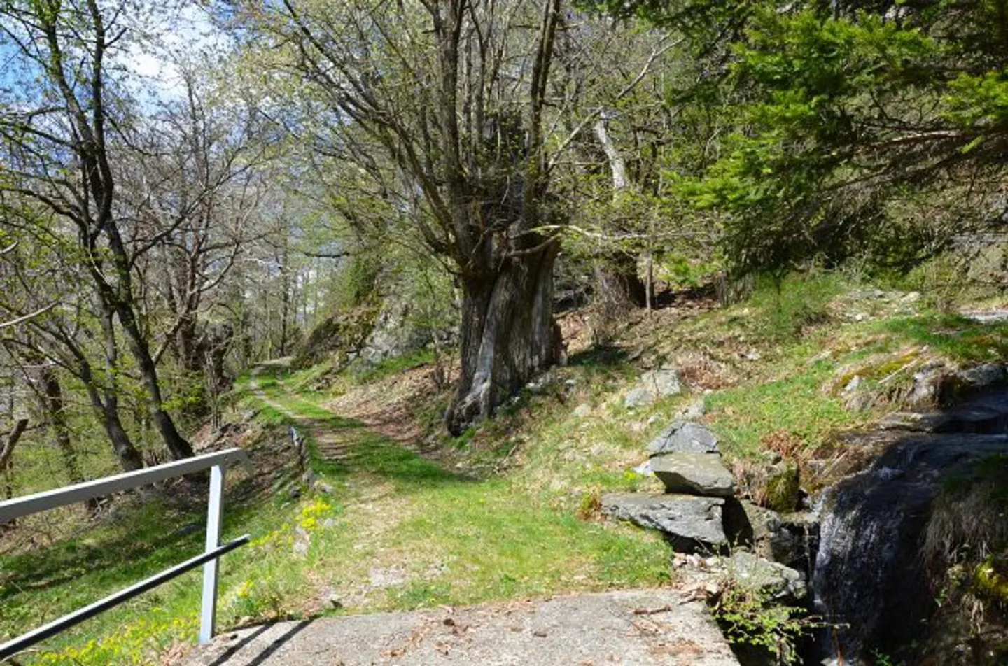 Rustico 3 1/2 locali in posizione molto tranquilla e soleggiata con vista / Bell... - Foto 35 di 39