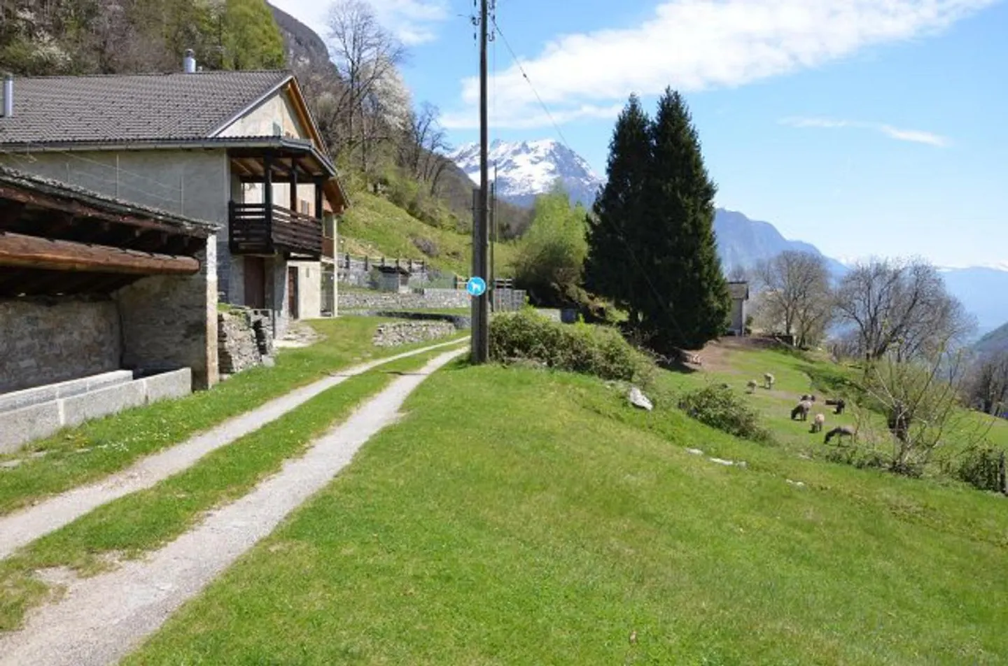 Rustico 3 1/2 locali in posizione molto tranquilla e soleggiata con vista / Bell... - Foto 36 di 39