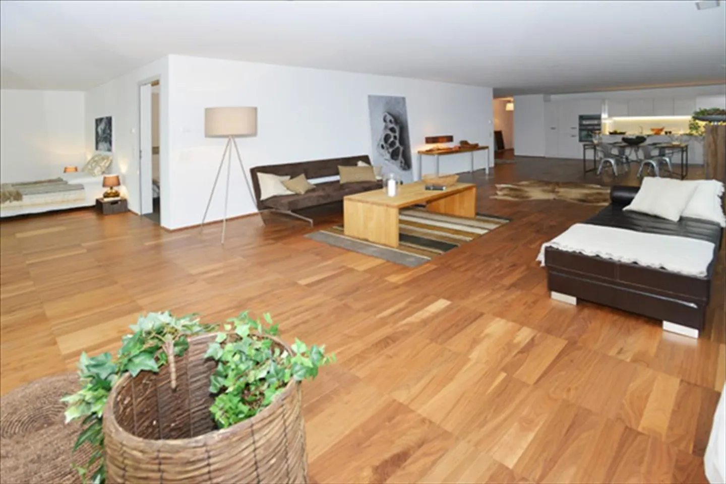 Stylische Loftwohnung in Dietikon - Foto 3 von 6