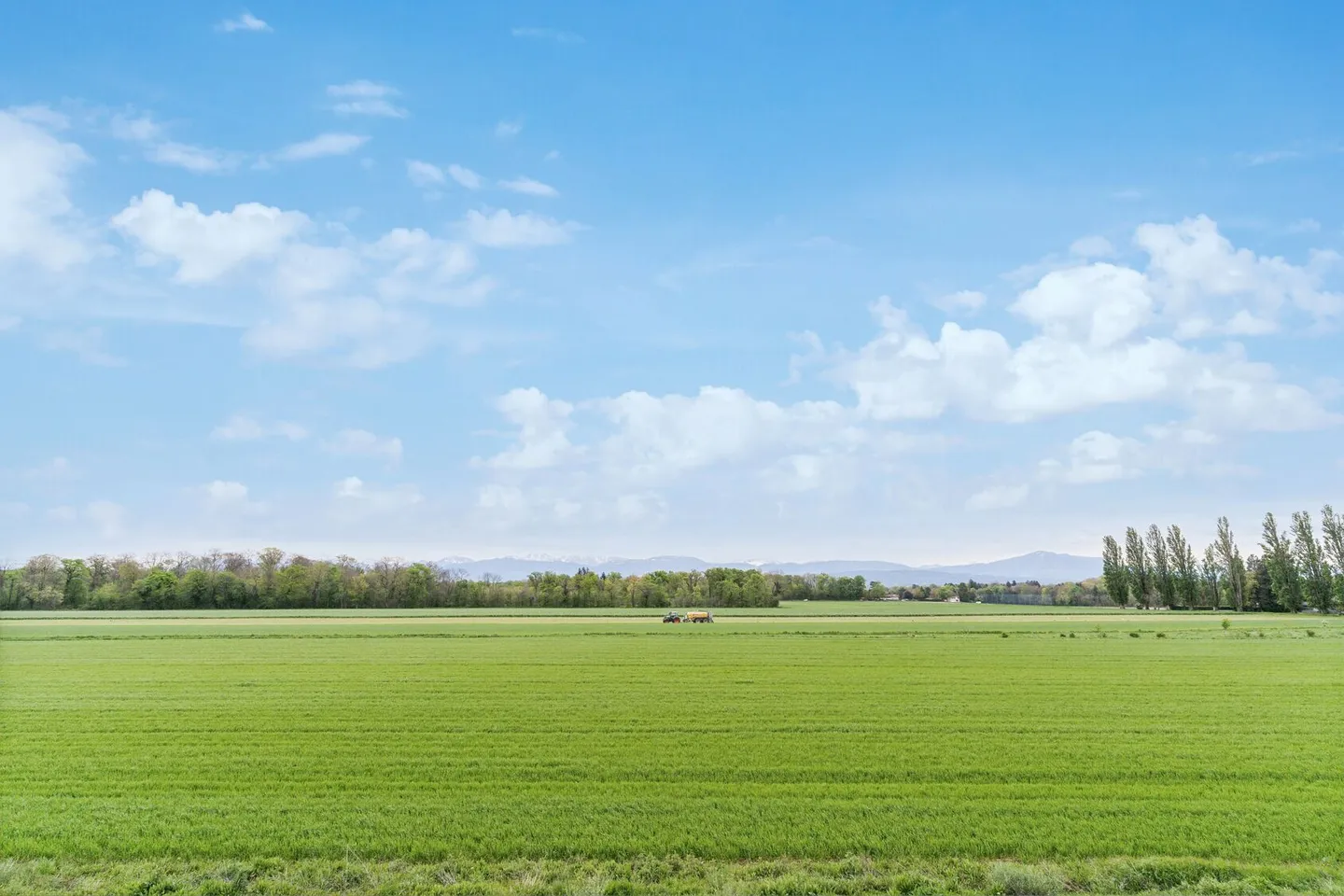 Nuovo a Gland - Grande superficie commerciale - industriale / 600m2 - Foto 2 di 9