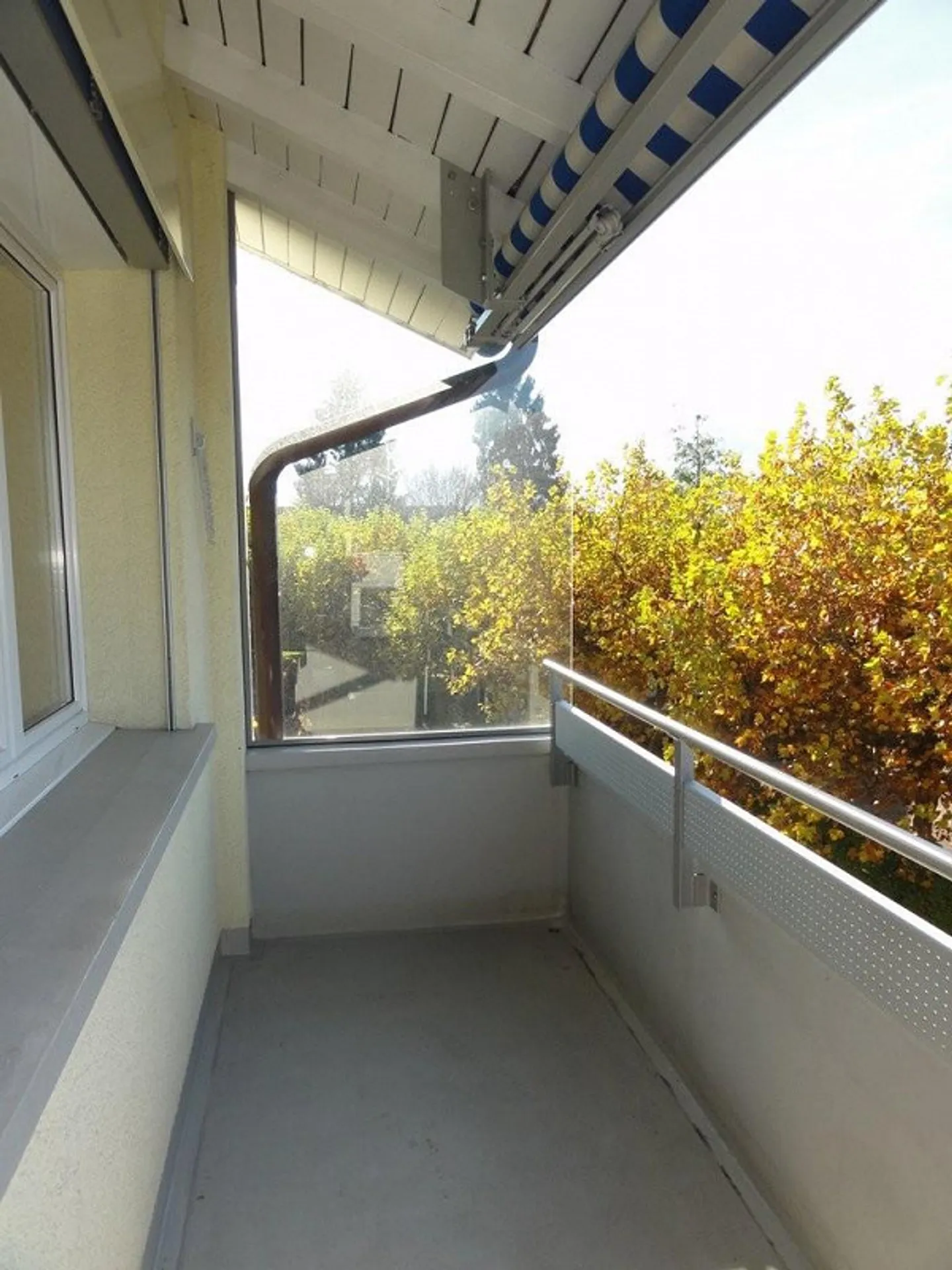 Vivere nel campo del sole! - Foto 7 di 8