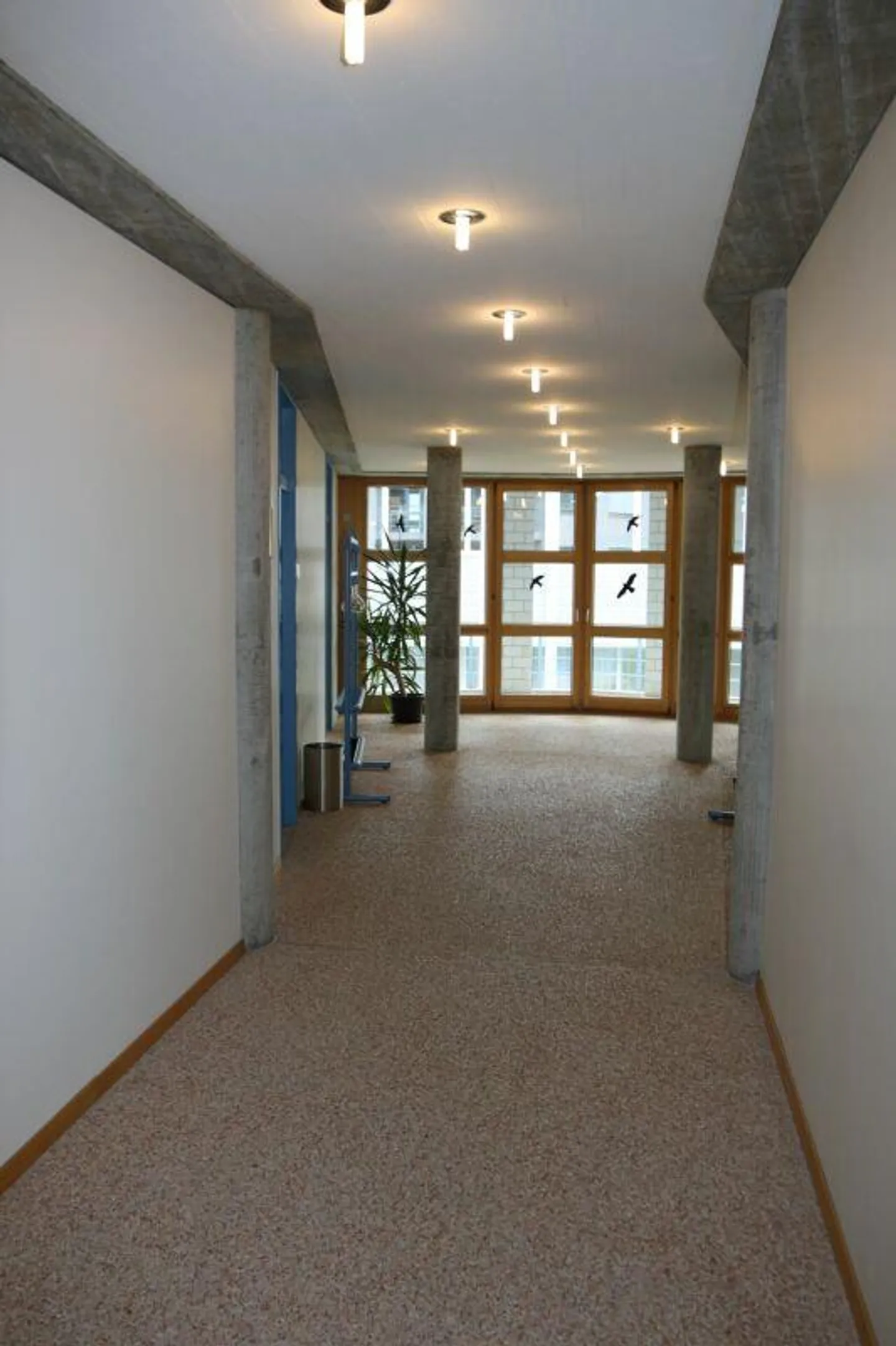 Edificio commerciale di 297 m2 - Foto 7 di 9