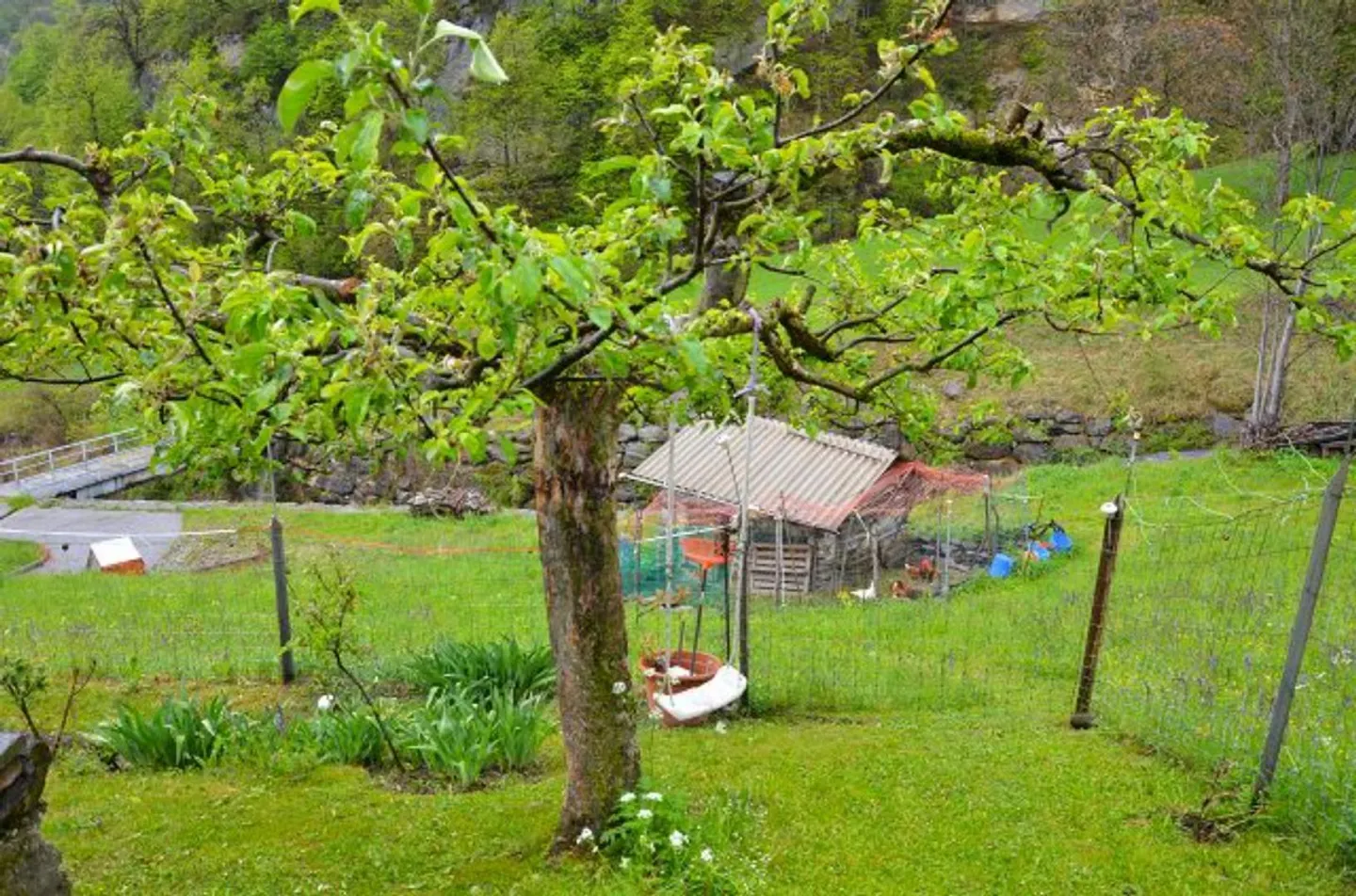 6 1/2 Zimmer-Einfamilienhaus mit grossem Umschwung an sehr ruhiger,... - Foto 47 von 66