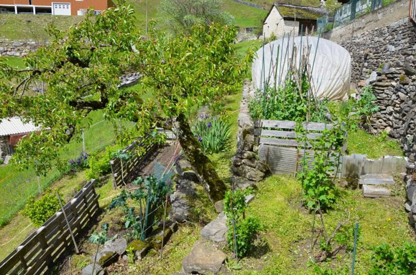 6 1/2 Zimmer-Einfamilienhaus mit grossem Umschwung an sehr ruhiger,... - Foto 40 von 66