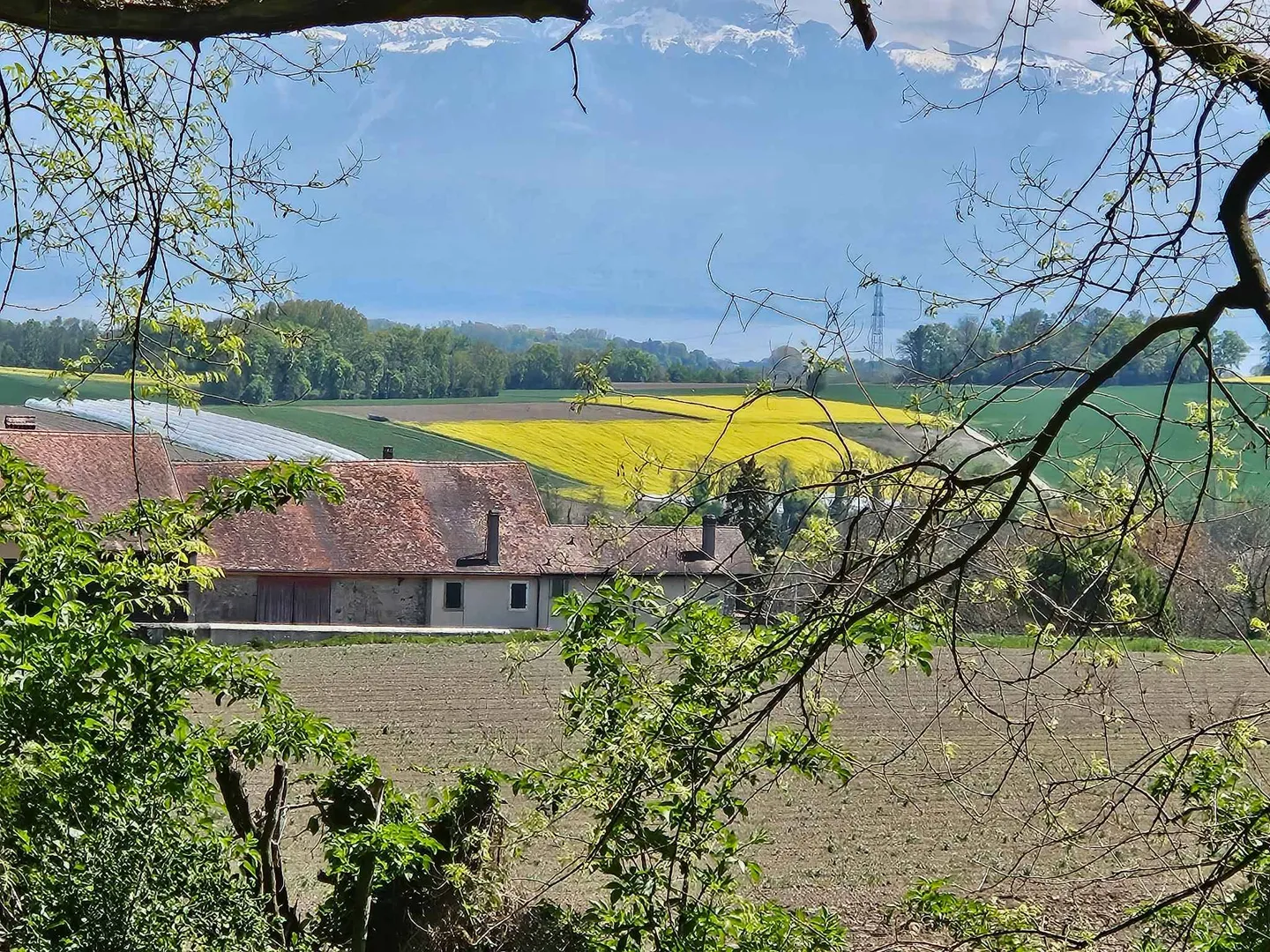 Hochwertige individuelle Villa nach Plan - NEU - Foto 7 von 13