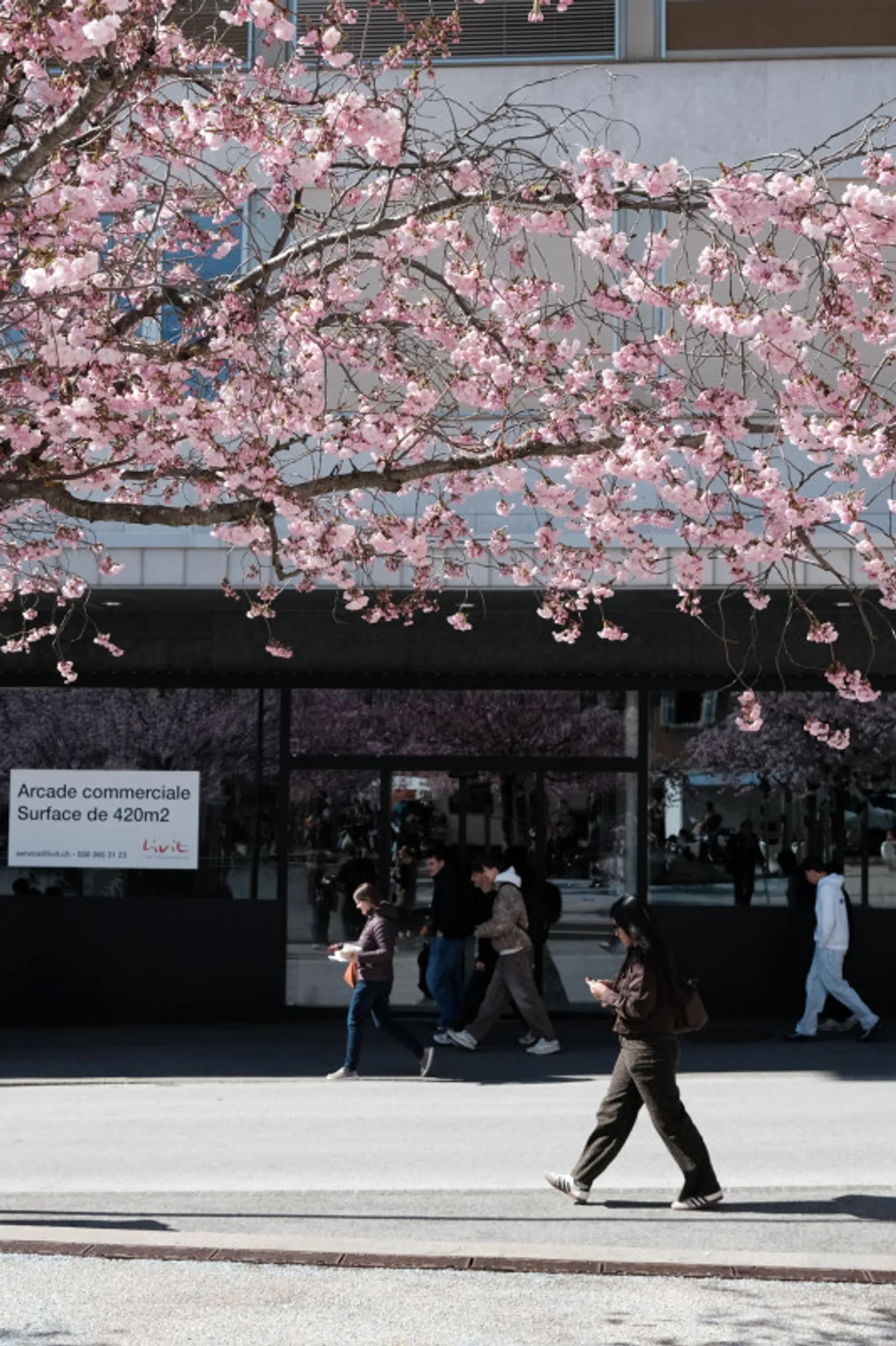 Werden Sie das Schaufenster eines lebhaften Viertels - Foto 2 von 12