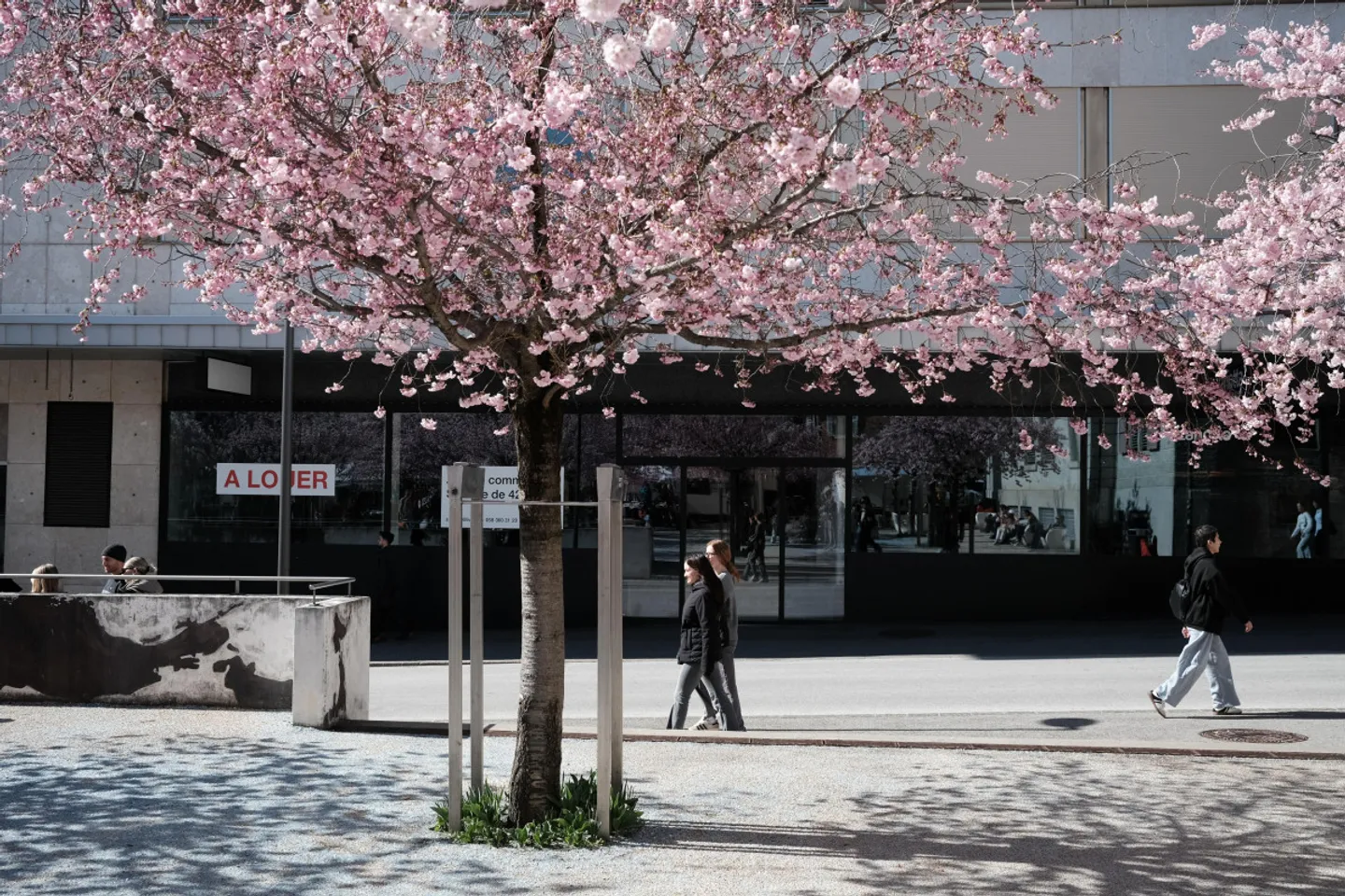 Werden Sie das Schaufenster eines lebhaften Viertels - Foto 11 von 12