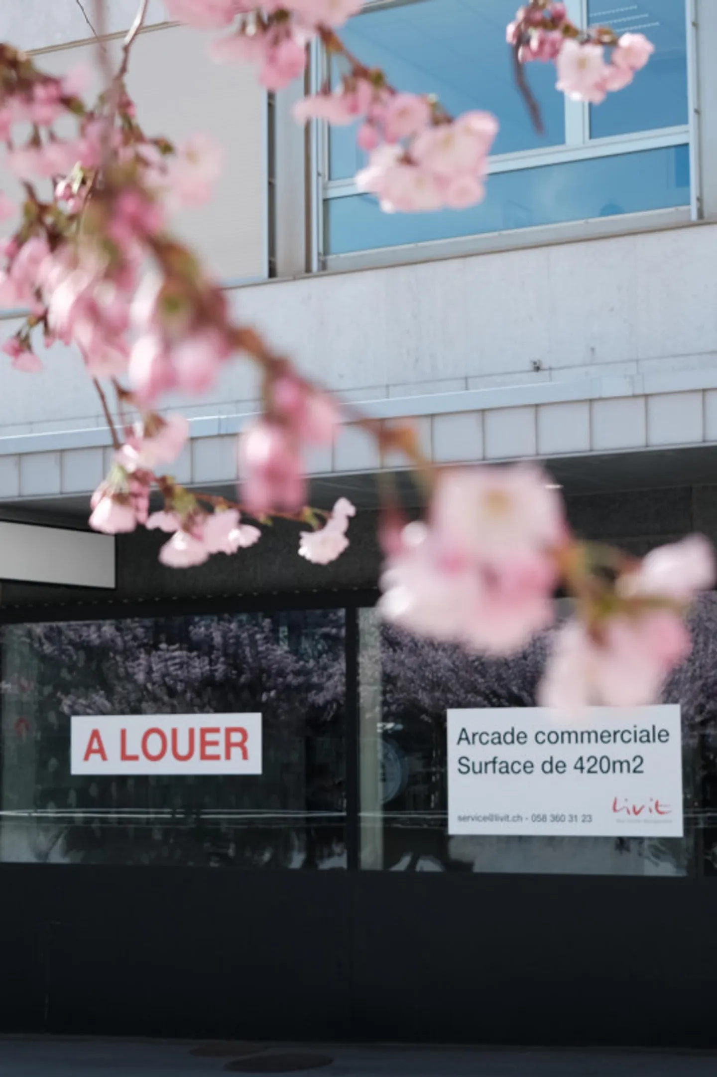 Werden Sie das Schaufenster eines lebhaften Viertels - Foto 12 von 12