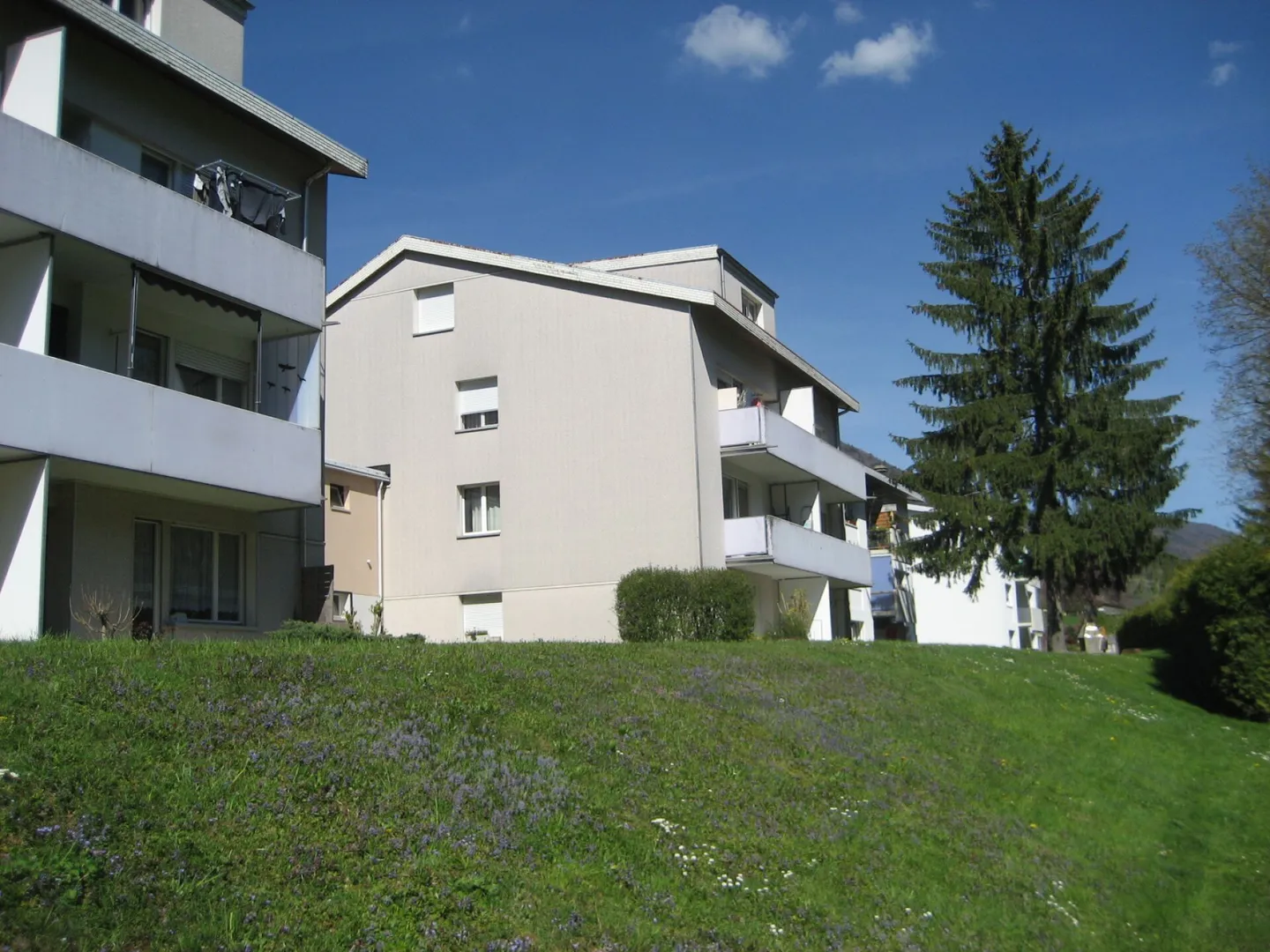 Appartamento 3 locali parzialmente ristrutturato in affitto a Péry - Foto 1 di 9
