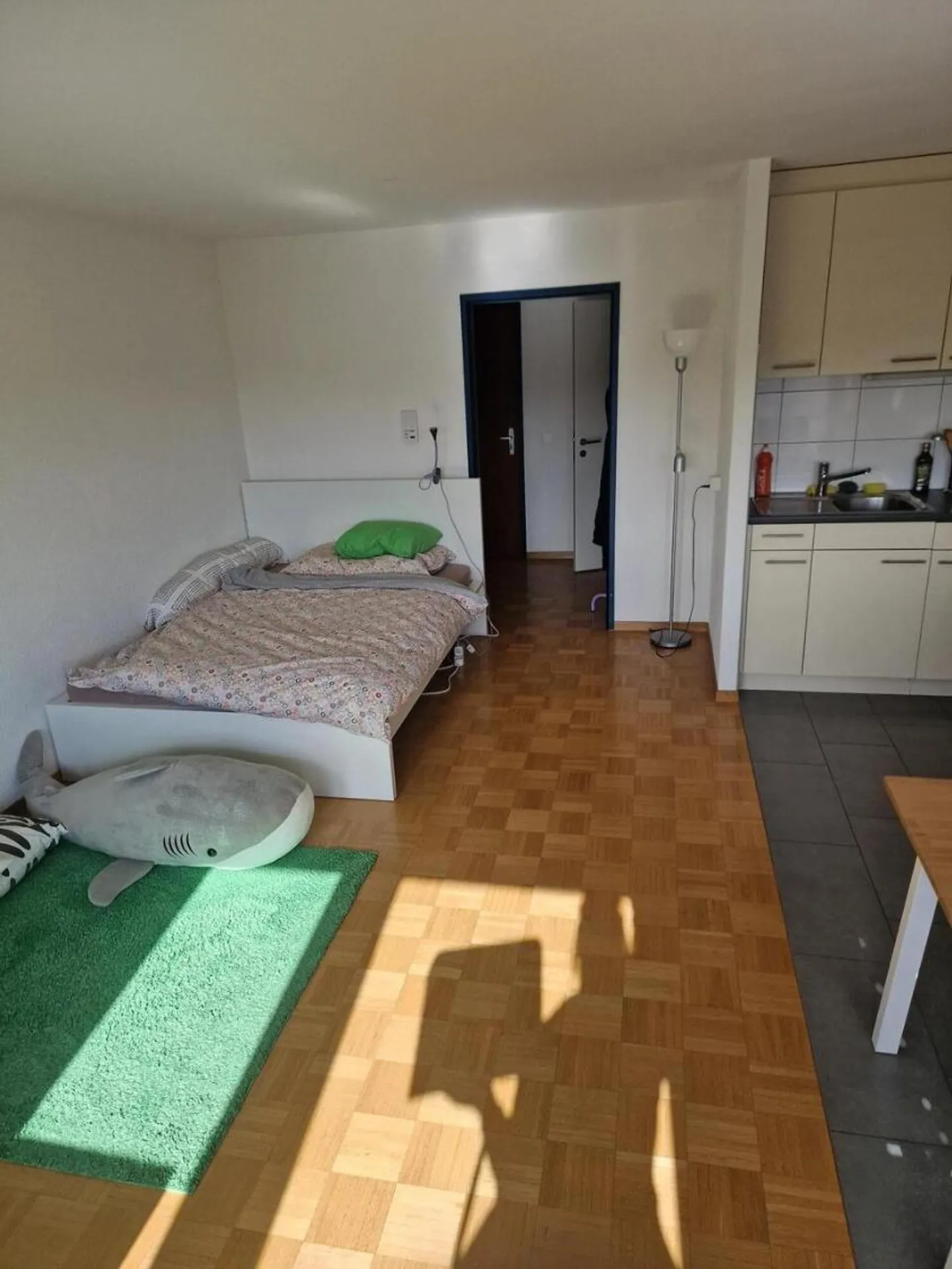 Appartamento 1.5 stanze - Foto 2 di 3