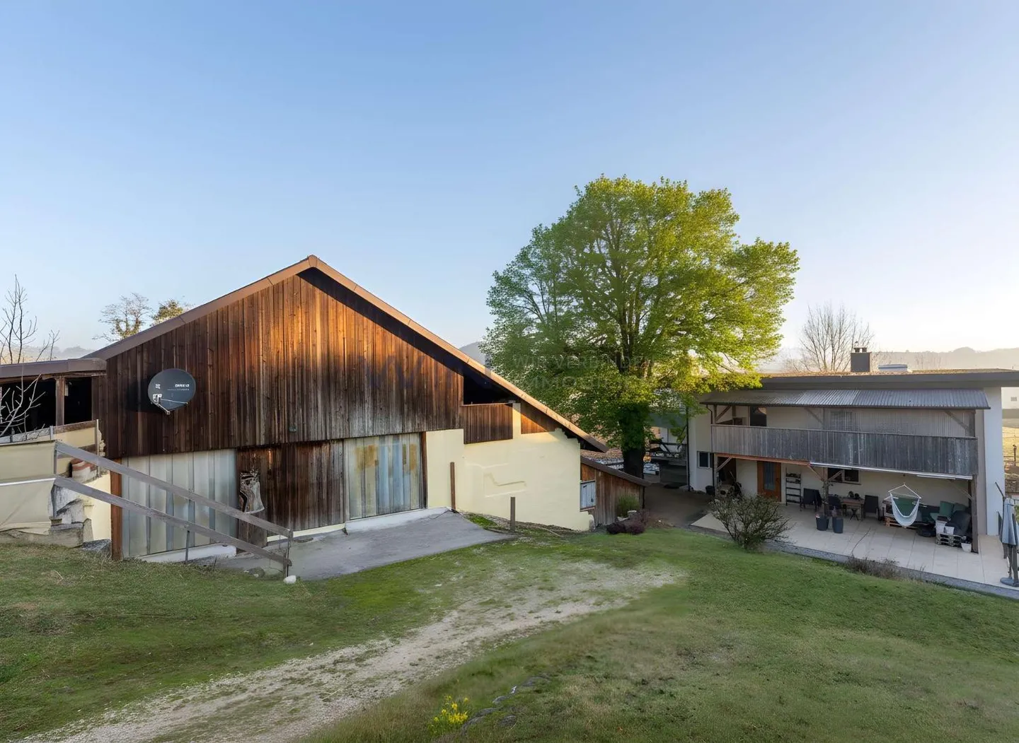 Greenfield 4 Umano e Animale - Foto 6 di 13