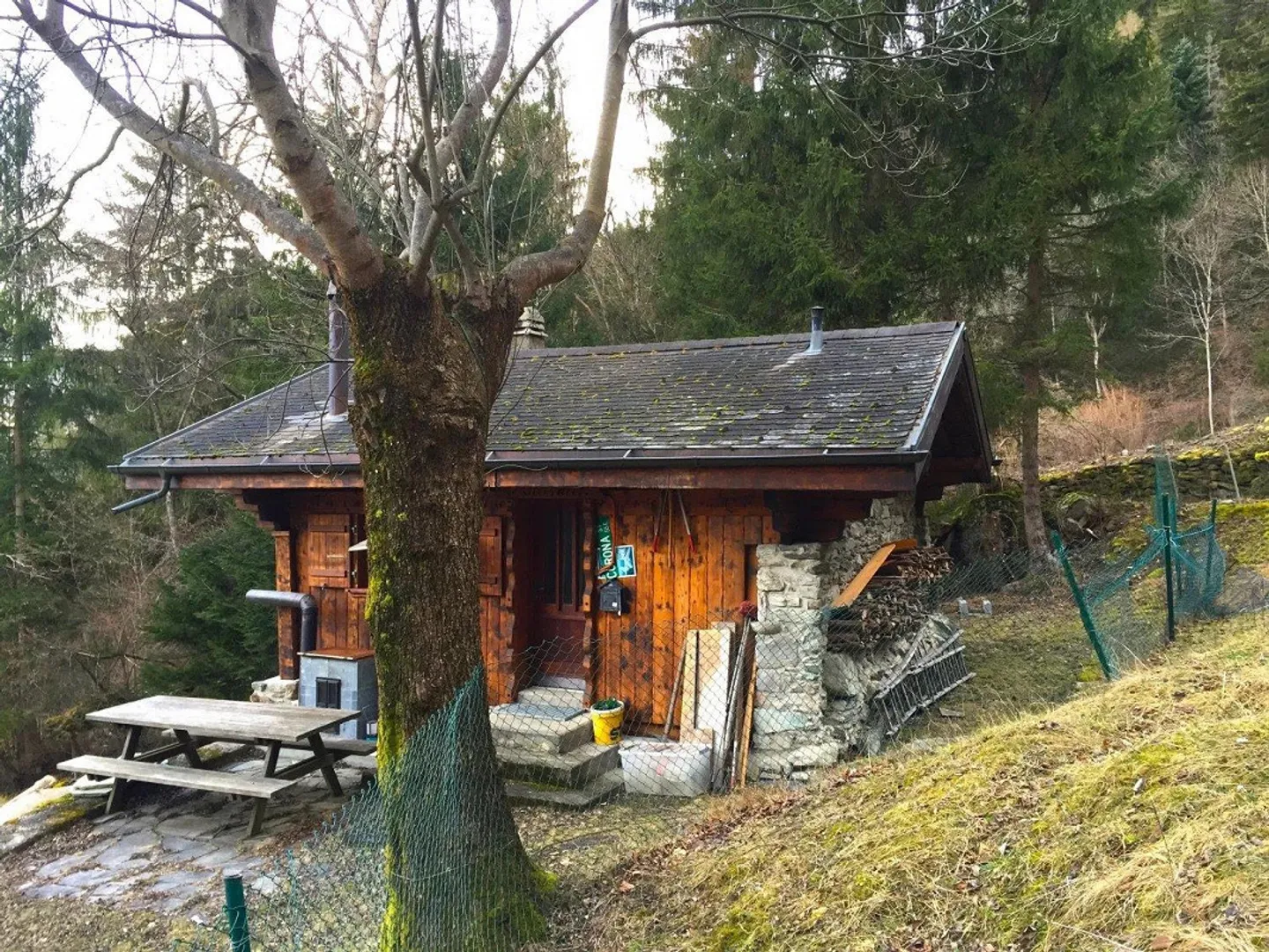 Cozy Mountain Cabin in Forest Clearing - Photo 10 of 14