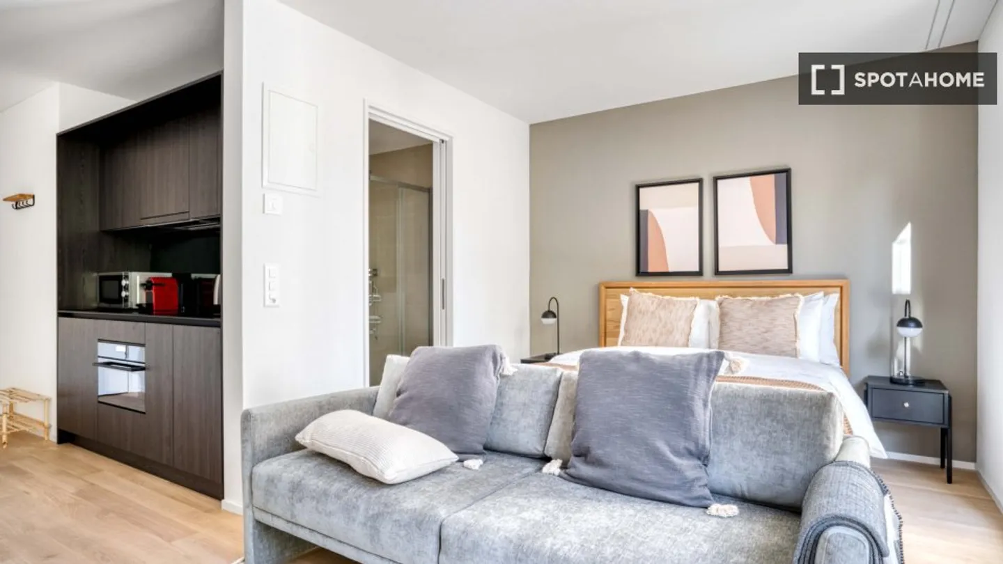 Studio in affitto - Foto 2 di 10