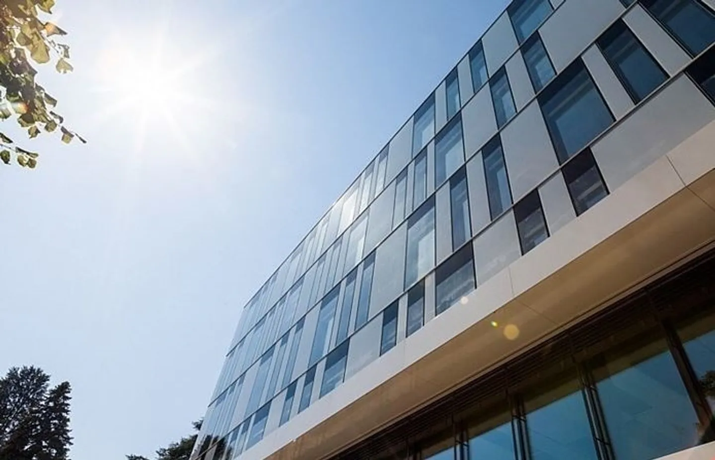 Bureaux de 500 m2 à 694 m2, superbe vue, cadre magnifique - Photo 8 sur 9