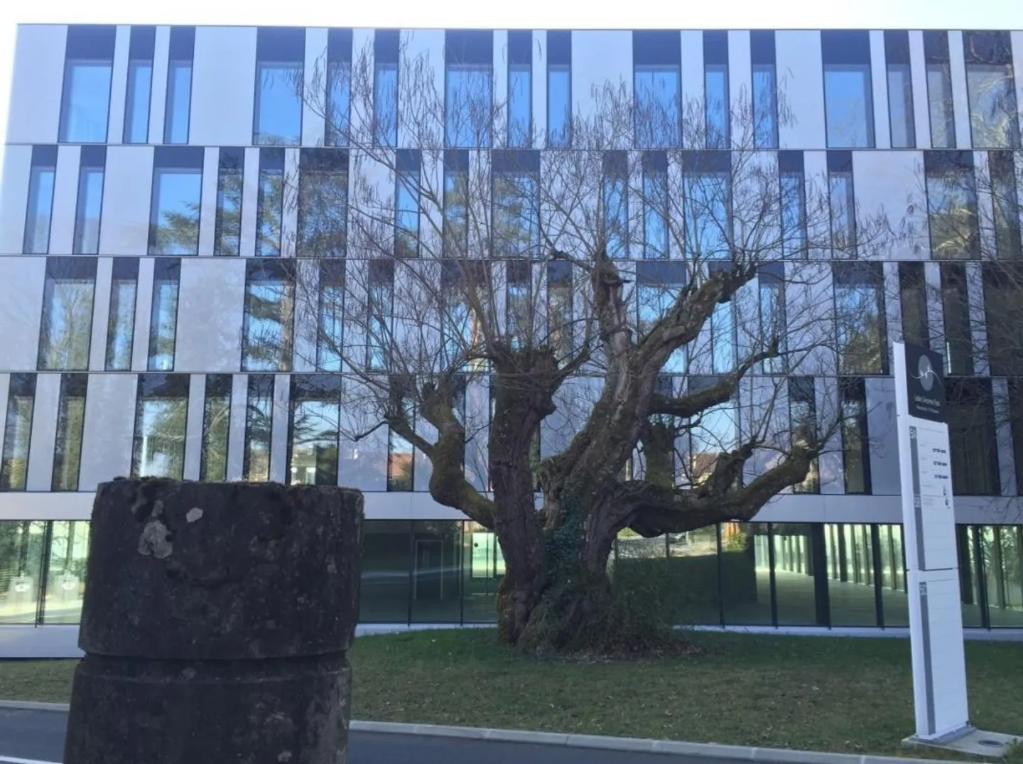 Bureaux de 500 m2 à 694 m2, superbe vue, cadre magnifique - Photo 7 sur 9