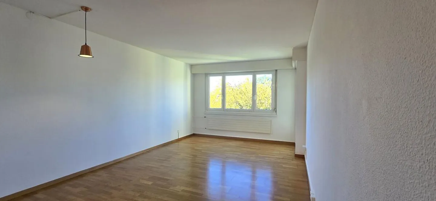 Appartement ensoleillé avec grand balcon - Photo 2 sur 12
