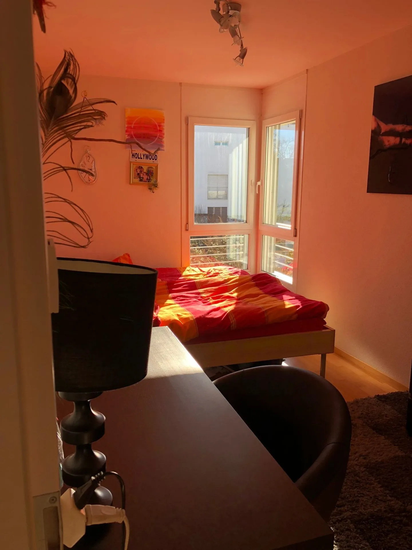 Helles WG-Zimmer in ruhiger Lage in Uster, nah zum Greifensee - Foto 9 von 16