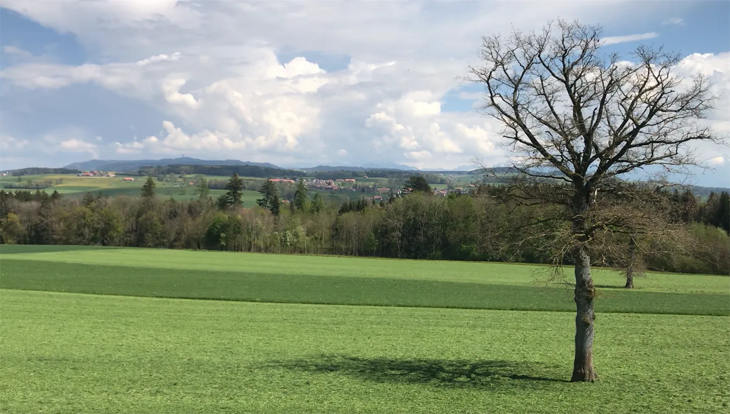 New marketing of 4 single-family homes - Photo 8 of 12