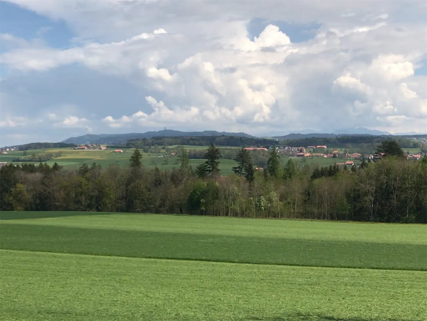 New marketing of 4 single-family homes - Photo 7 of 12