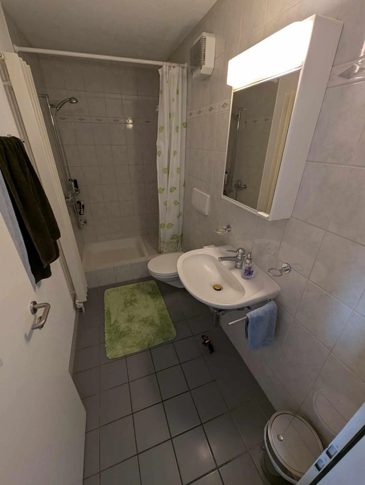 4.5-room apartment, 1st floor with large balcony - Photo 4 of 15