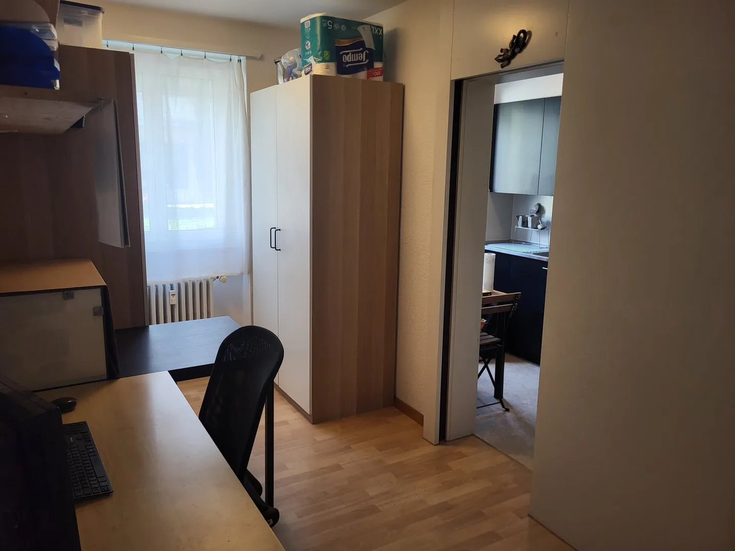 APPARTAMENTO 2½ STANZE A BERN - FELSENAU, ARREDATO, TEMPORANEO - Foto 4 di 10