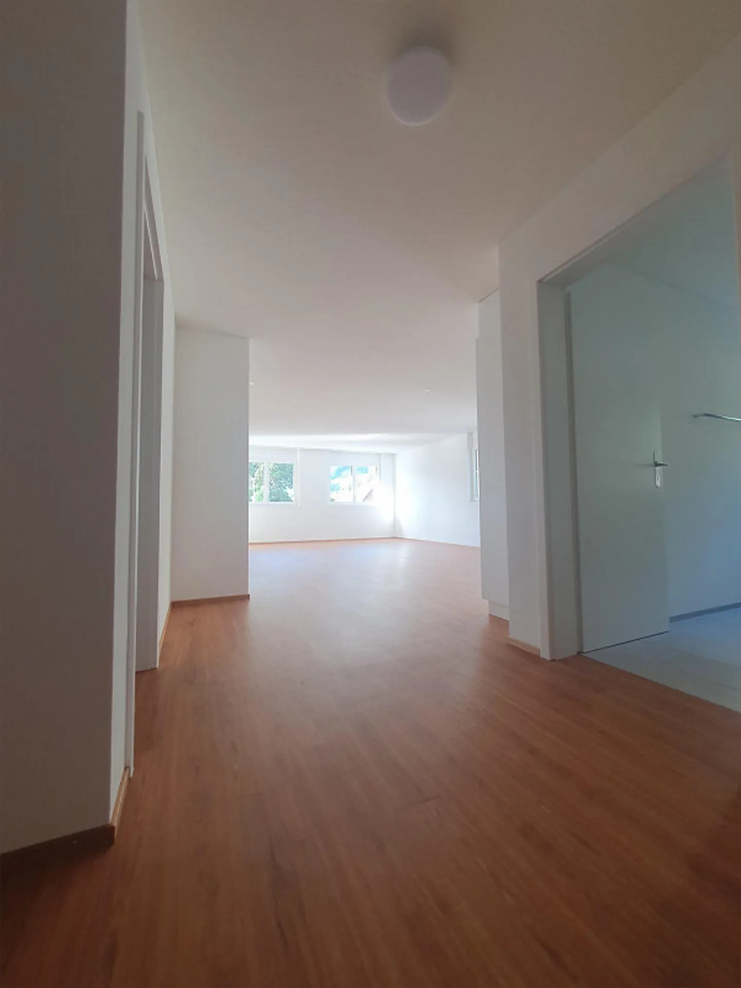 Appartamento 3.5 stanze - Foto 3 di 8