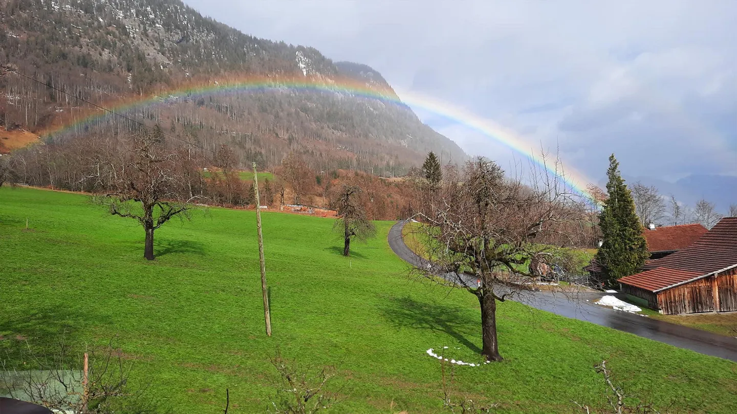 Appartamento 3,5 stanze appena ristrutturato con balcone e area giardino - Foto 11 di 16