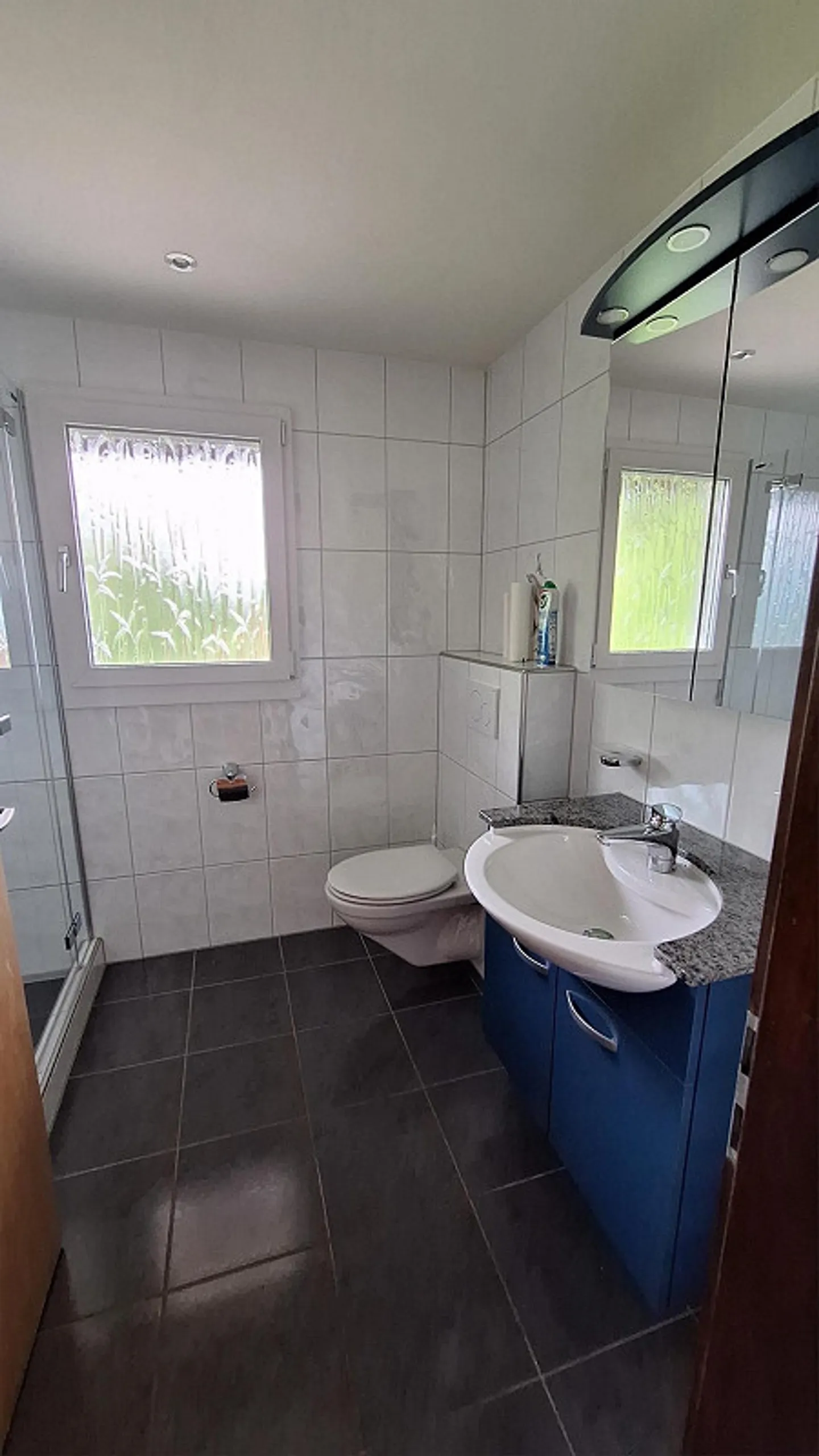 Appartamento 3,5 stanze appena ristrutturato con balcone e area giardino - Foto 16 di 16