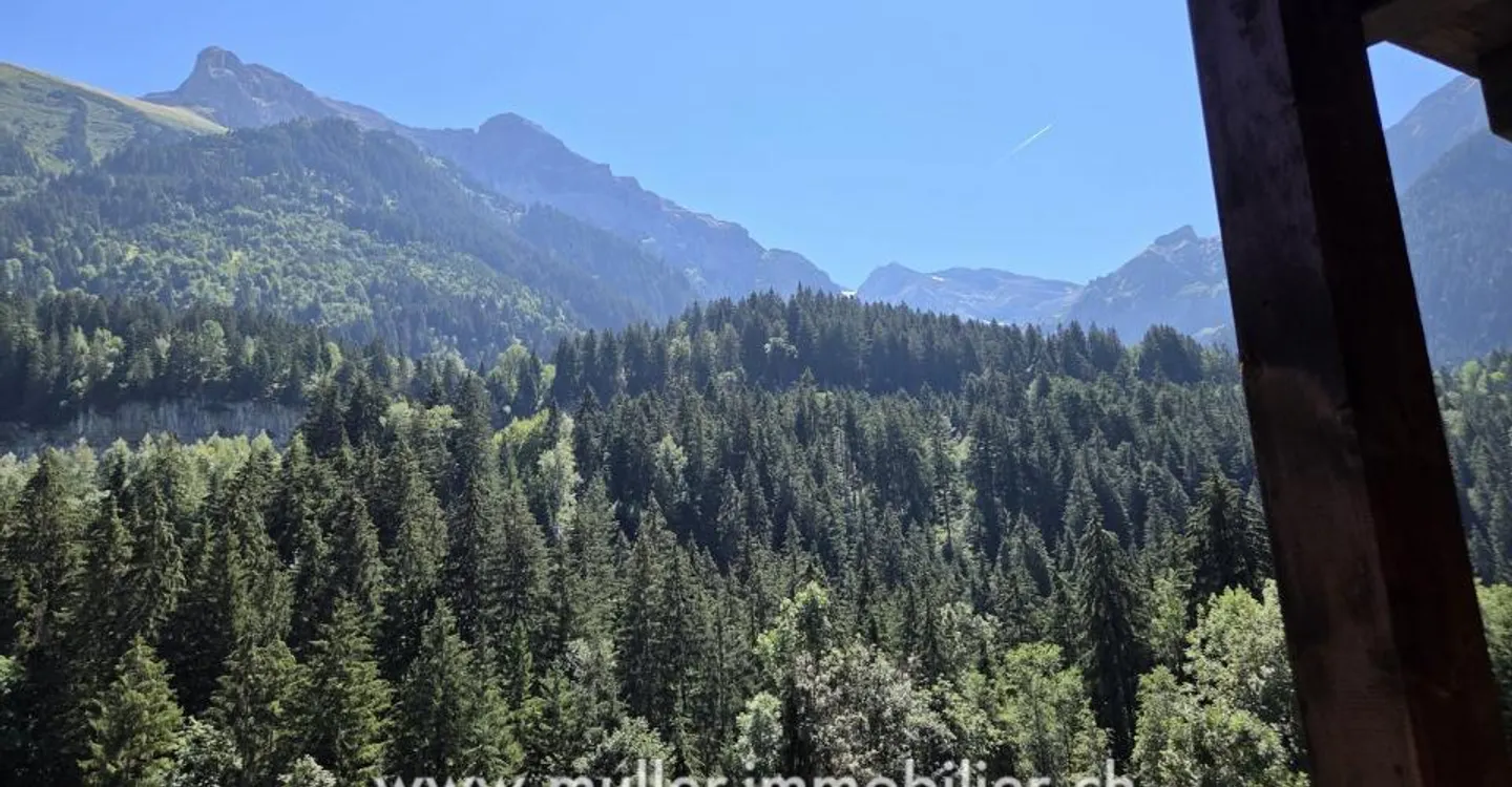Charmantes Chalet in Champéry - Foto 10 von 12