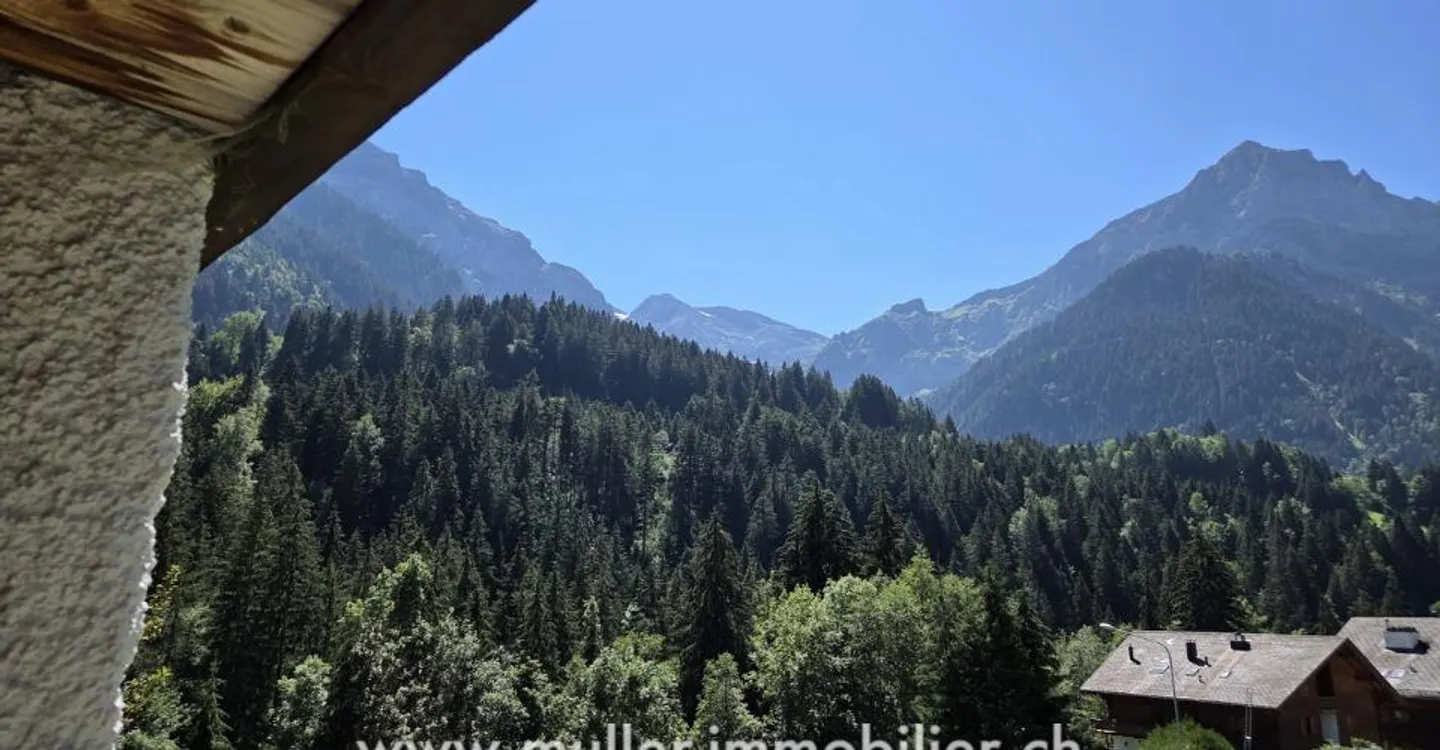 Charmantes Chalet in Champéry - Foto 8 von 12