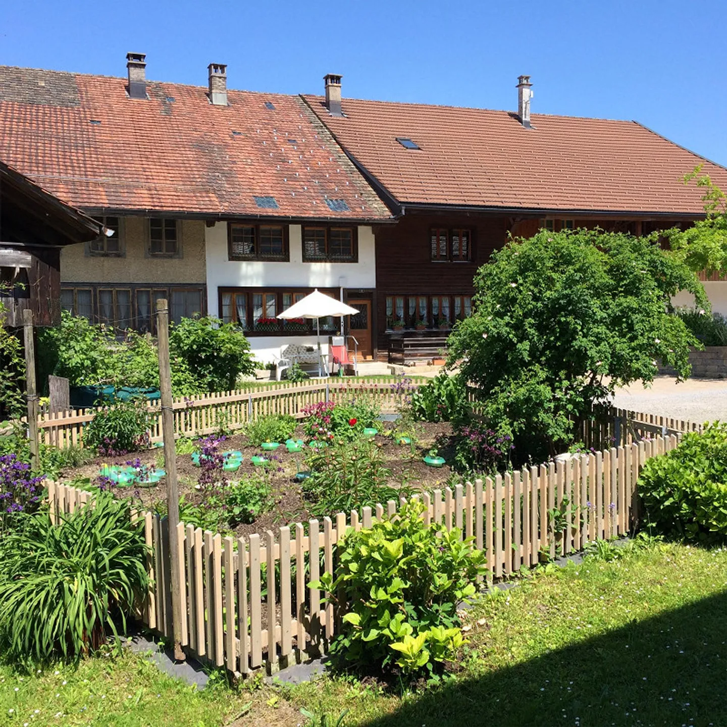 Simple Flarz House with Garden - Photo 2 of 9