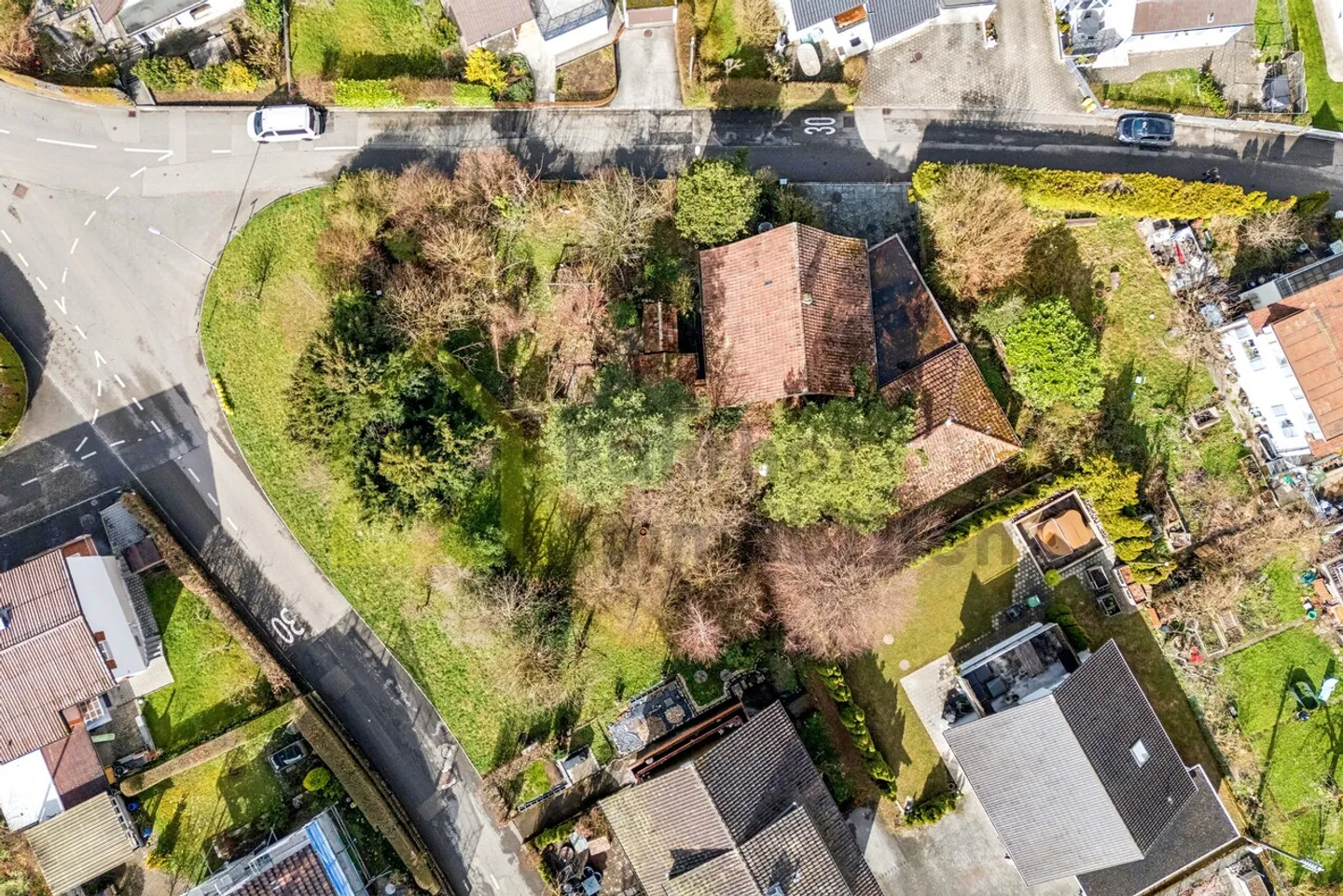 Grande oggetto per amanti con giardino idilliaco - Foto 5 di 19