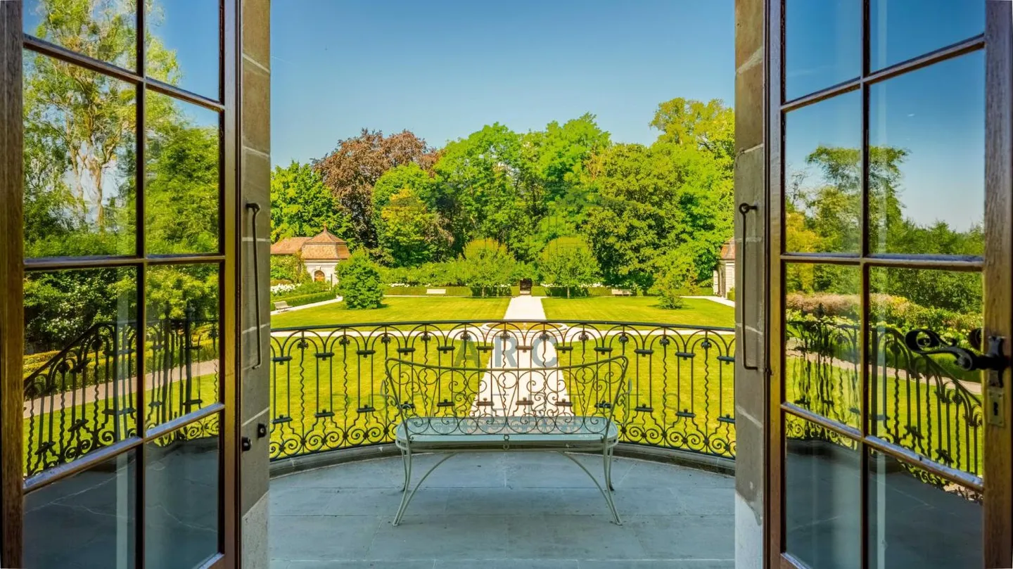 20-room Castle - Photo 4 of 13