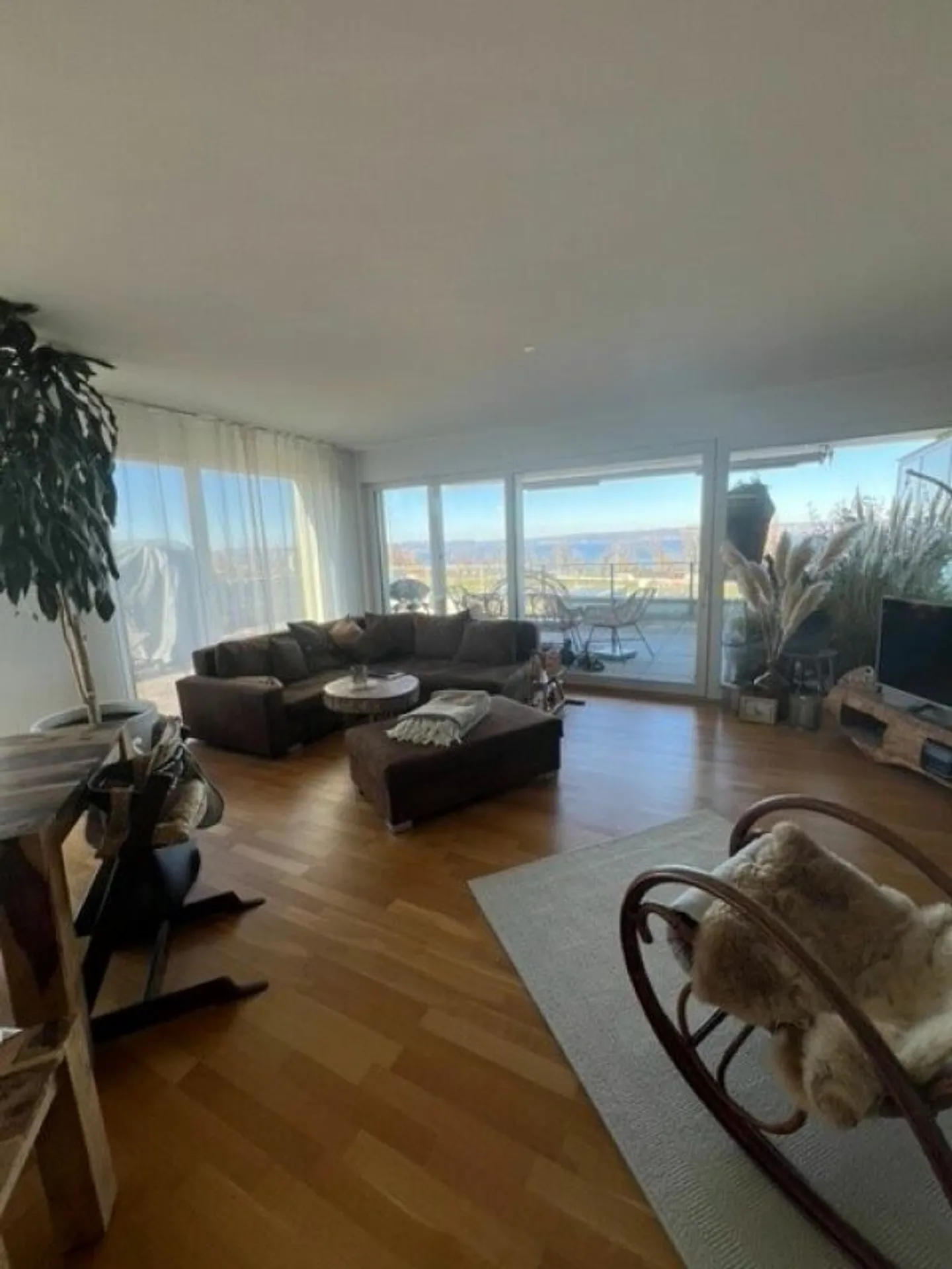 Dreamlike Penthouse Apartment in Scherzingen - Photo 3 of 11