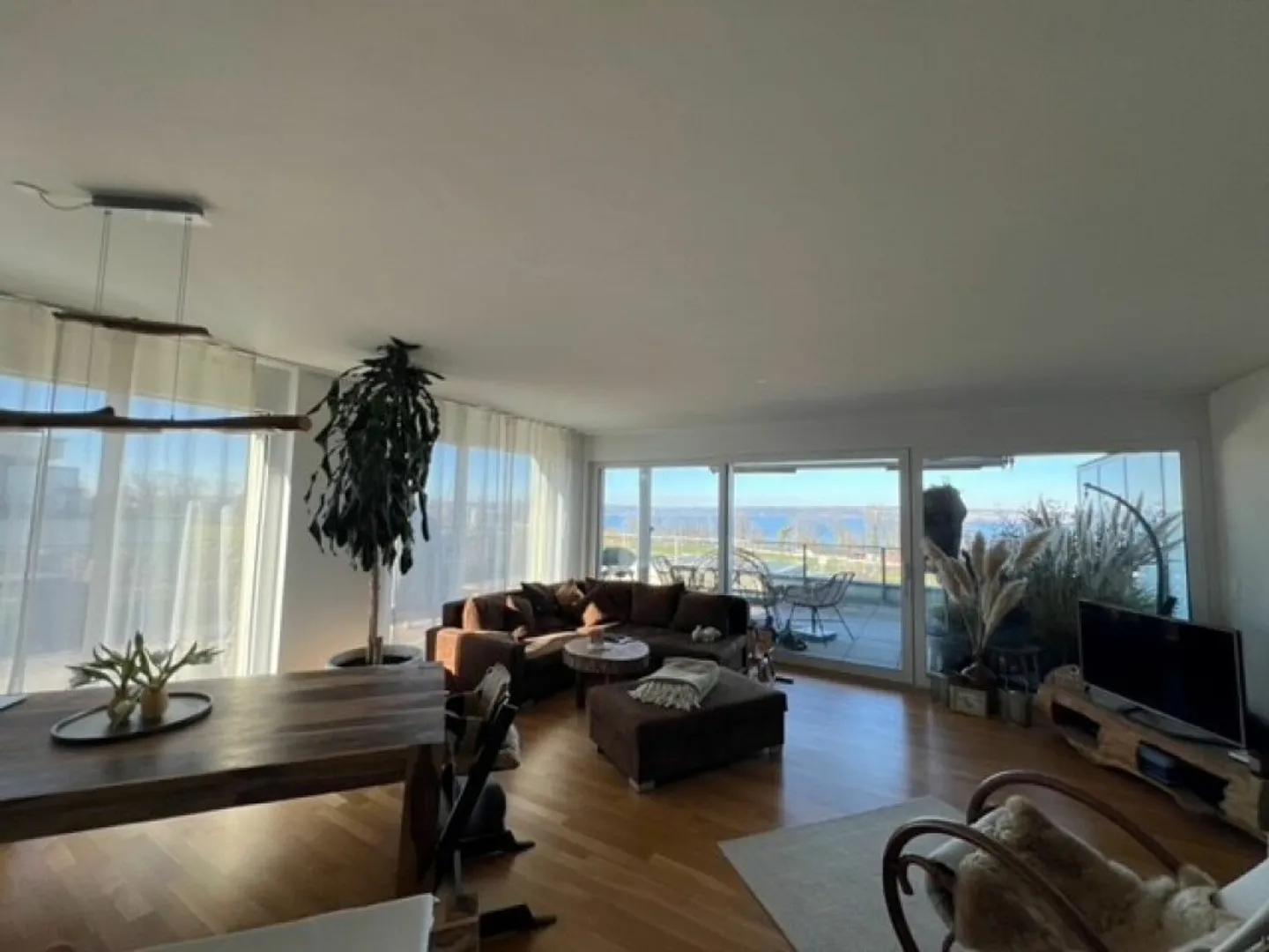 Dreamlike Penthouse Apartment in Scherzingen - Photo 4 of 11