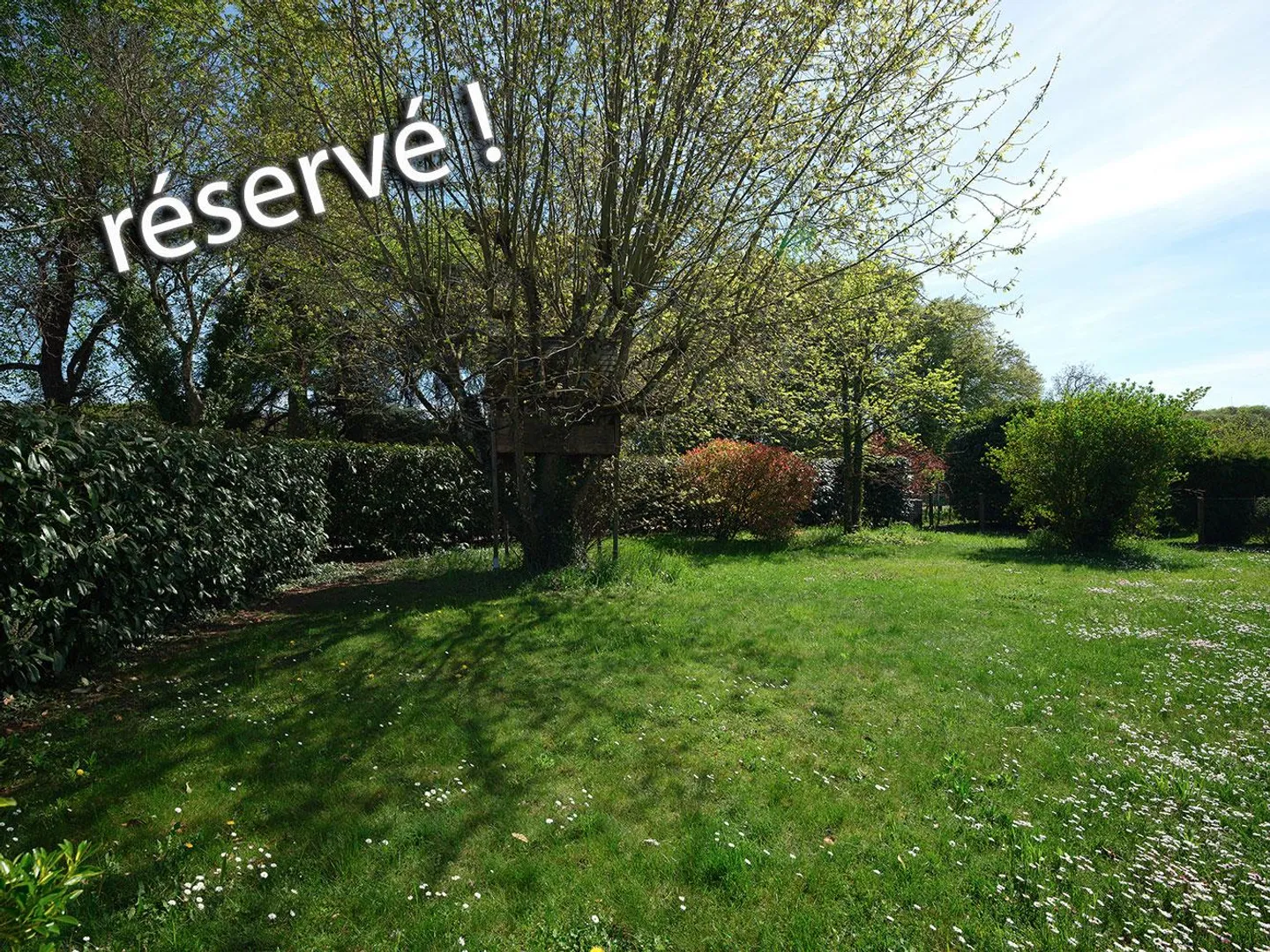 Exclusif - Maison jumelée avec grand jardin - Photo 10 sur 12