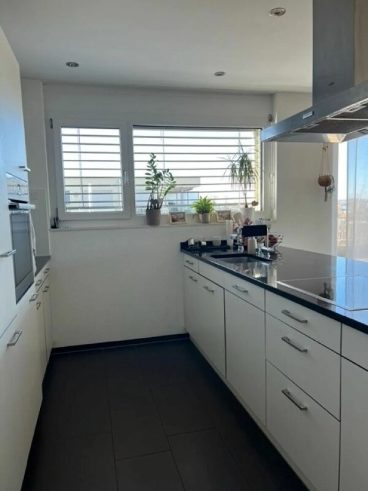 Dreamlike Penthouse Apartment in Scherzingen - Photo 6 of 11