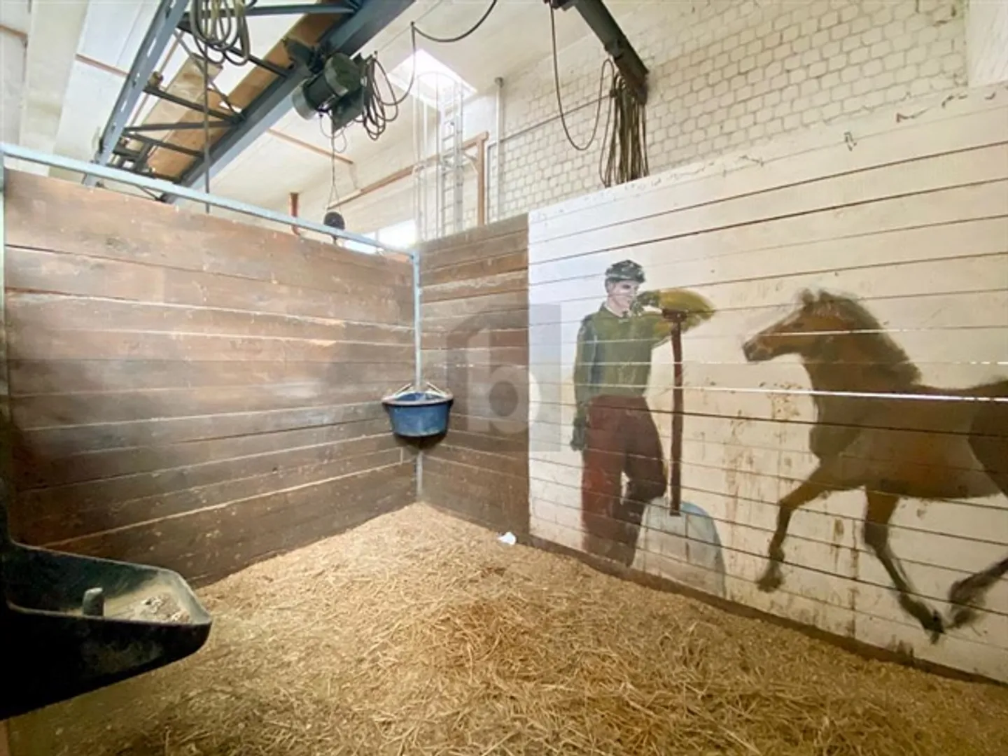 RIDING HALL IN CO-OWNERSHIP - Photo 4 of 6