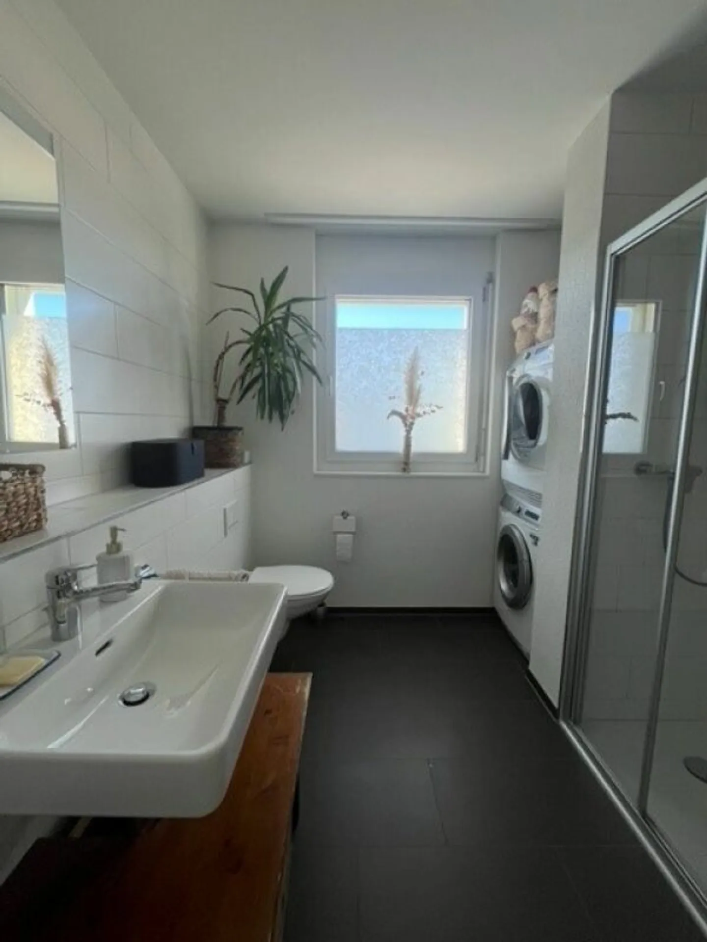 Dreamlike Penthouse Apartment in Scherzingen - Photo 9 of 11