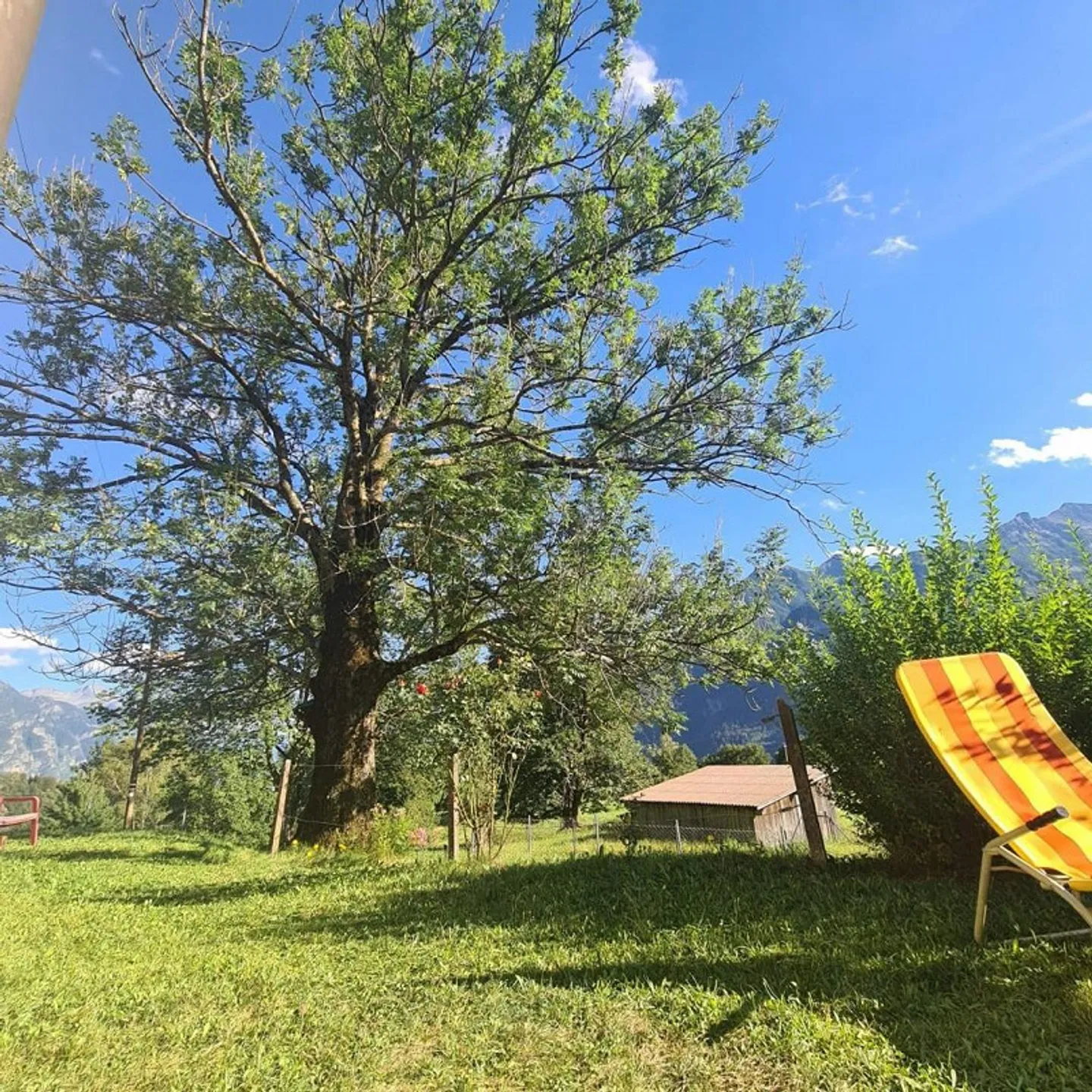 Casa in affitto - Foto 21 di 35