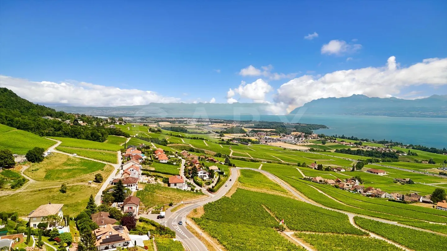 11-Room House - Photo 11 of 11