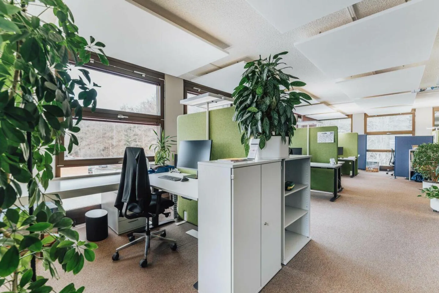 OFFICE BUILDING - Photo 6 of 15