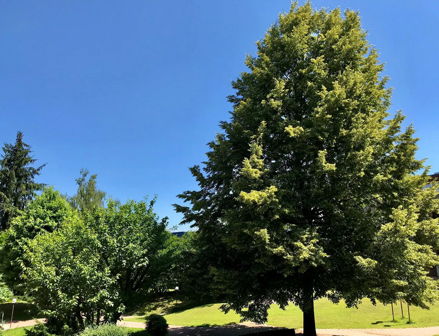 Appartamento ristrutturato di 3.5 locali in posizione tranquilla vicino all'ospedale Bruderholz - Foto 3 di 9